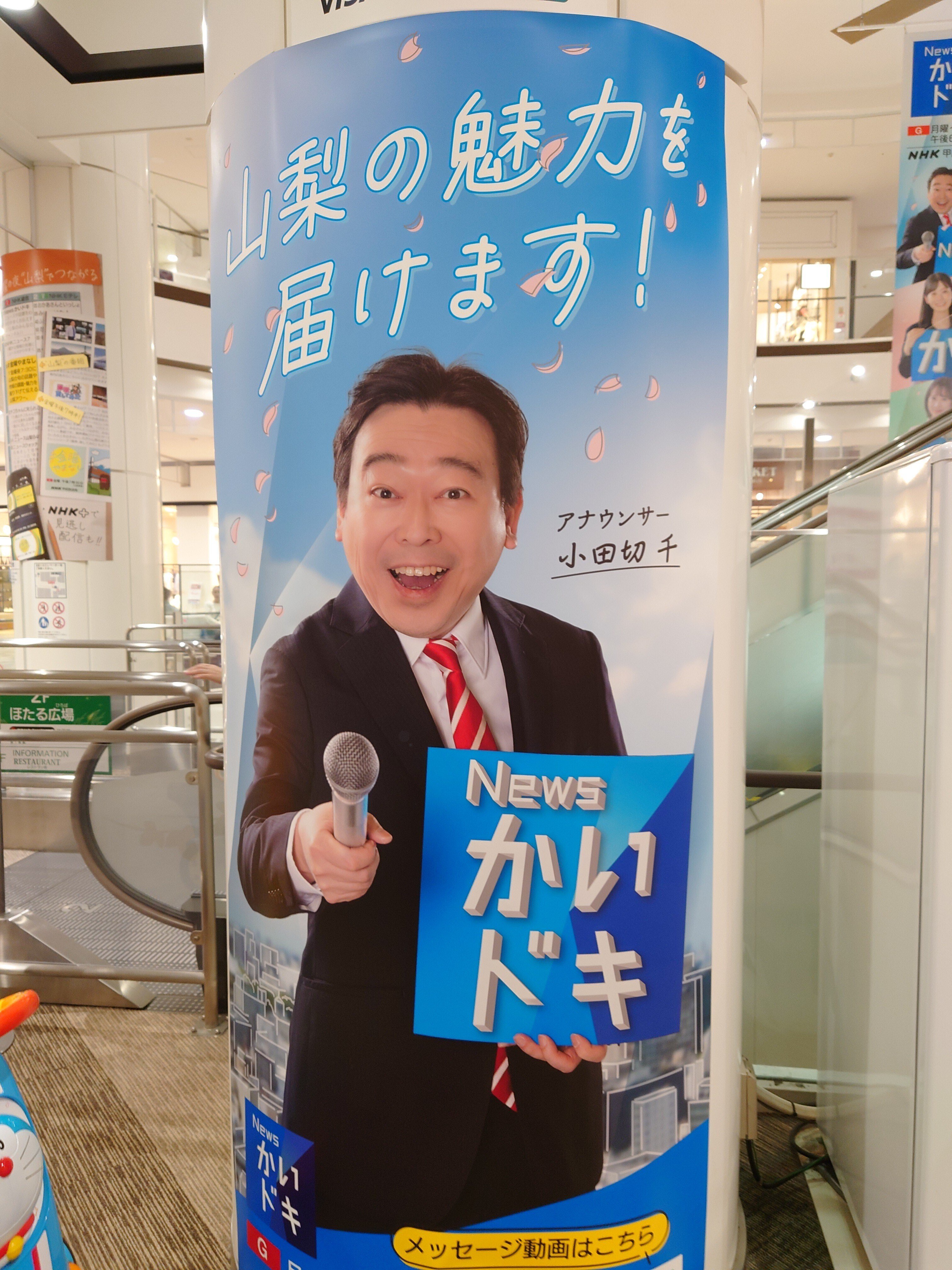 NHKɎX 214241 W菬Ⴂ~LeB̋VC ->摜>24 