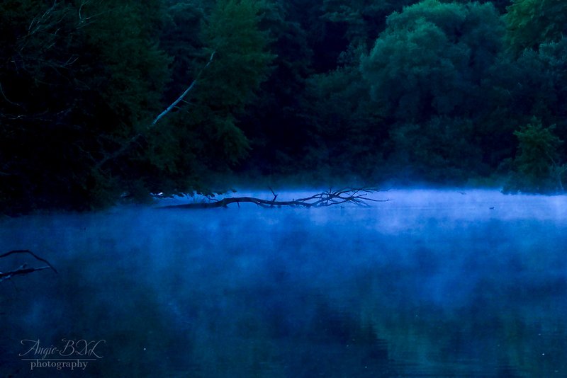 早朝の森の湖。青白い空気の中で、蒸気霧に覆われた湖面が幻想的。