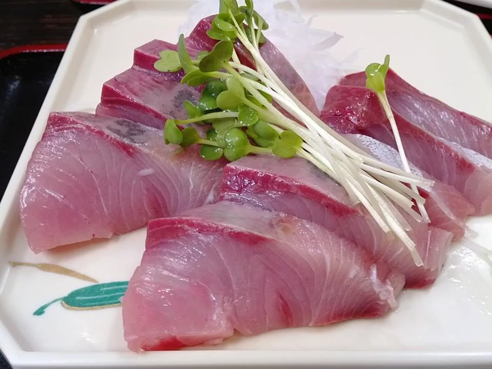 Photo Gallery 逗子 小坪港 ゆうき食堂 わらさの刺身定食 鳴海邦彦 公式 Kunihiko Narumi Official Note