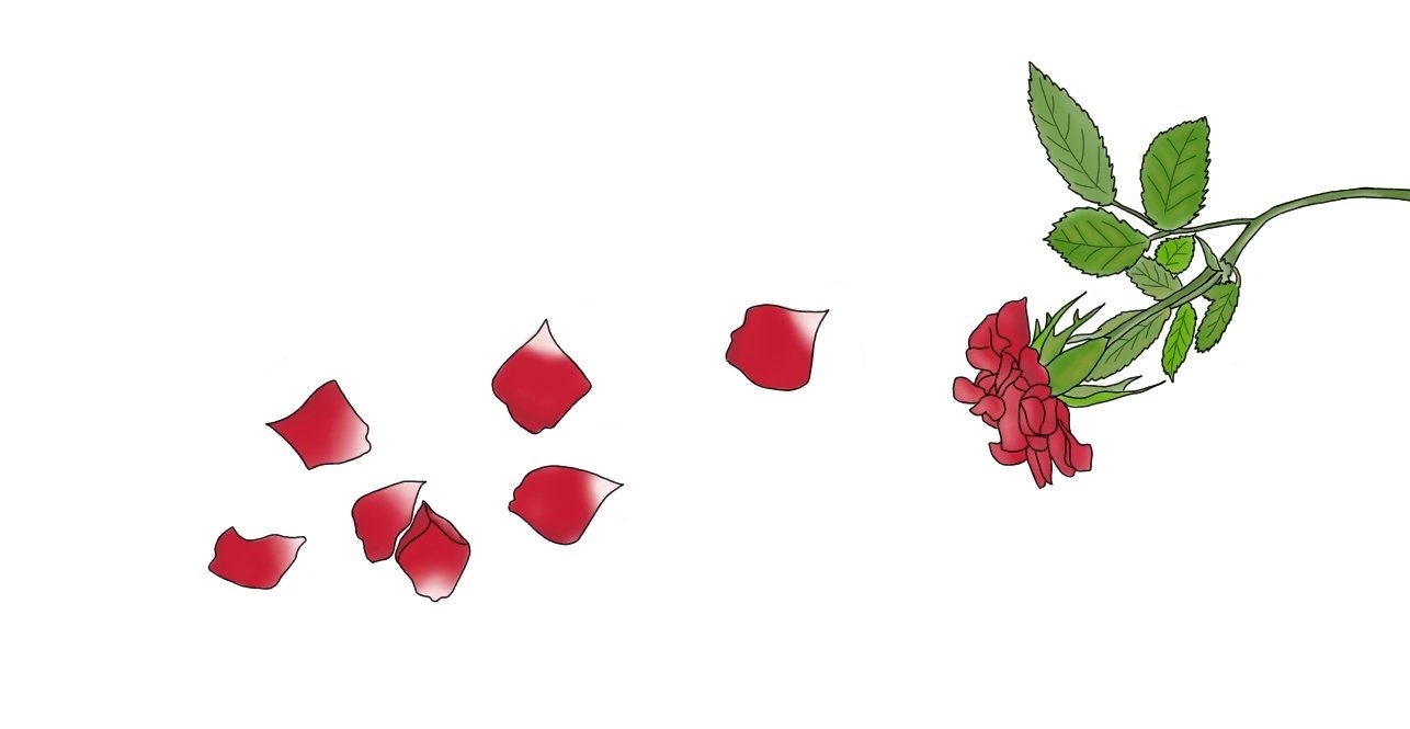 薔薇のイラスト 椿 Tsubaki Note