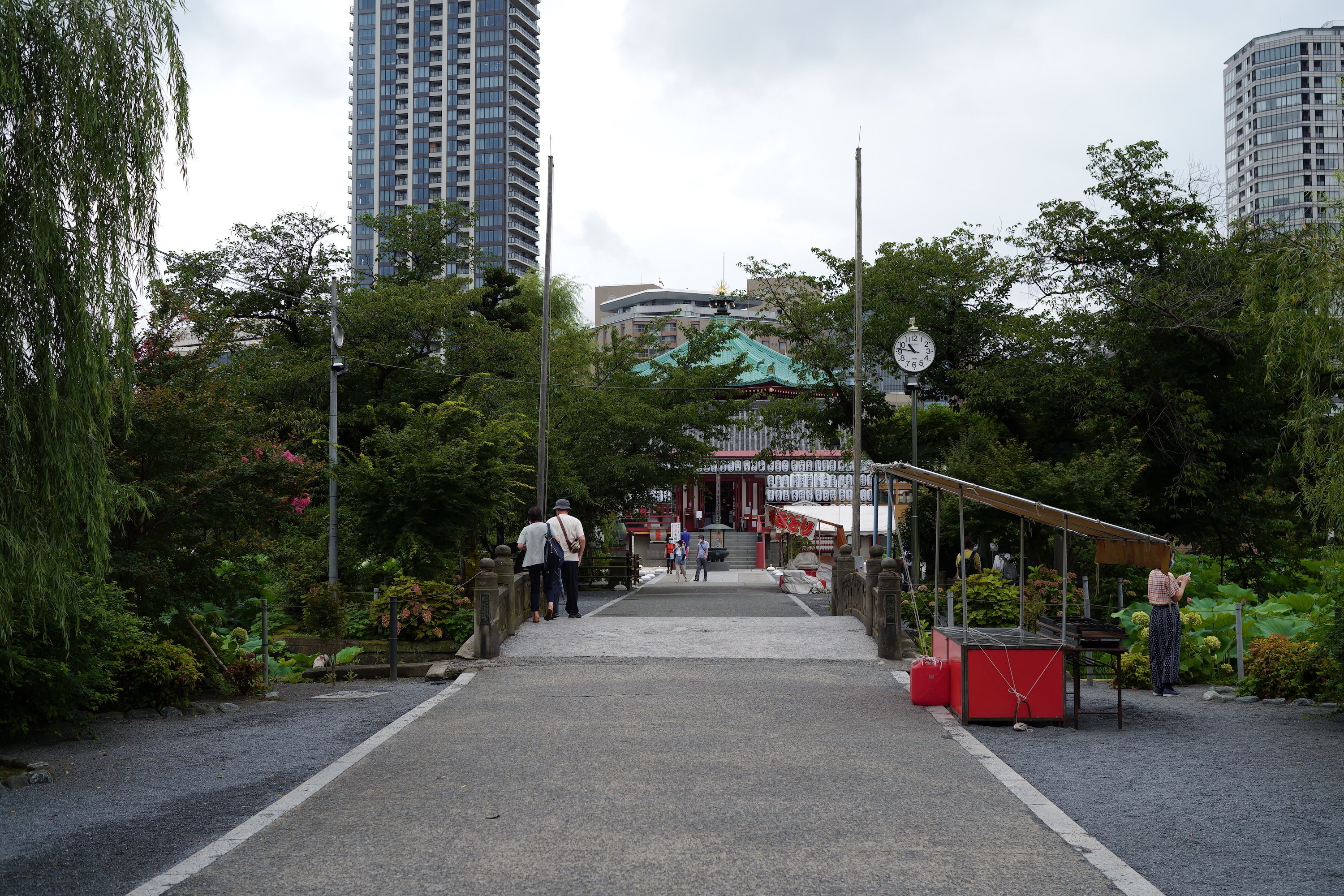 上野公園の不忍池周辺を散歩 ありぜ Note 上野公園の不忍池周辺を散歩 ありぜ Note