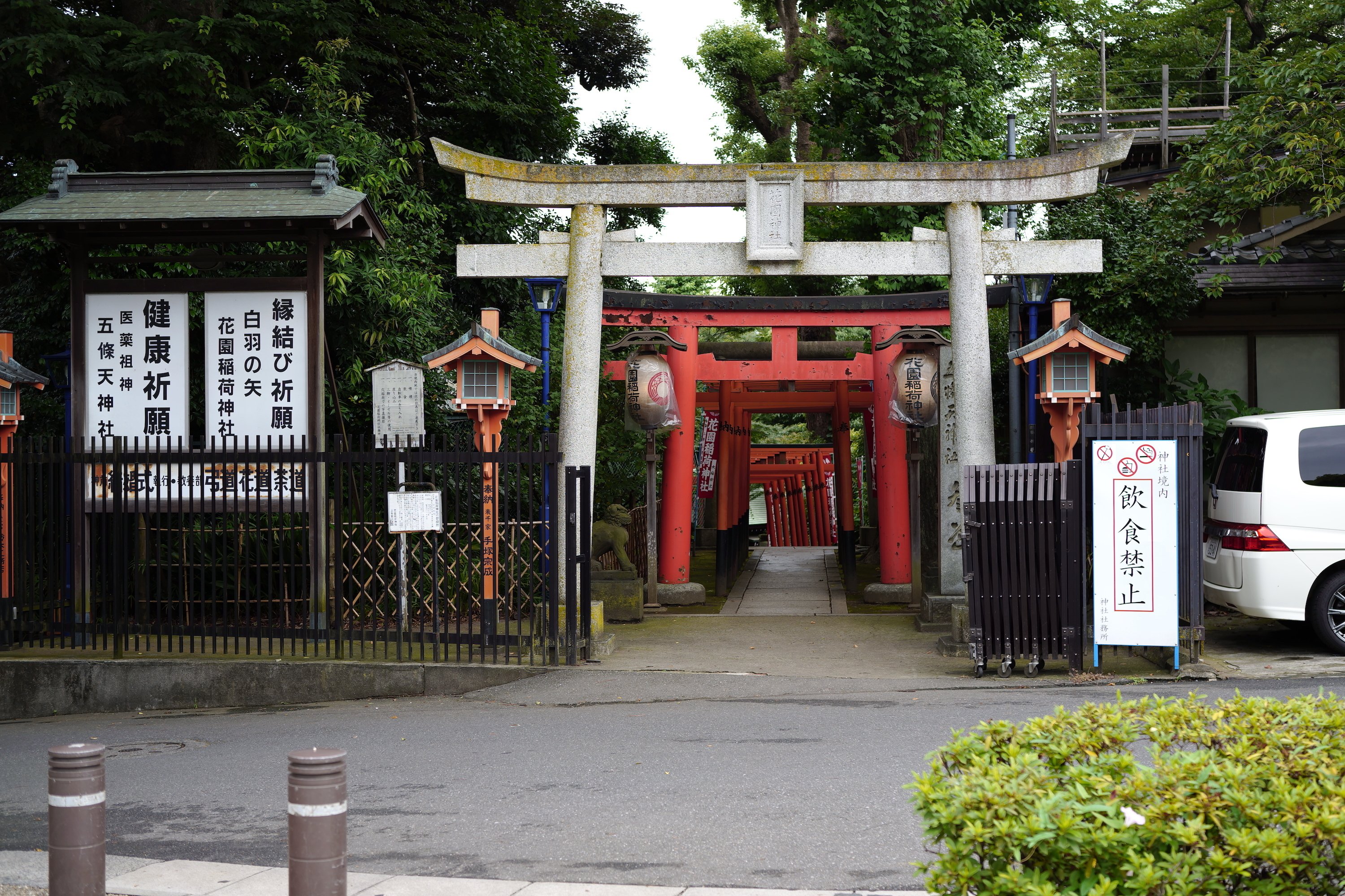 上野公園の不忍池周辺を散歩 ありぜ Note 上野公園の不忍池周辺を散歩 ありぜ Note