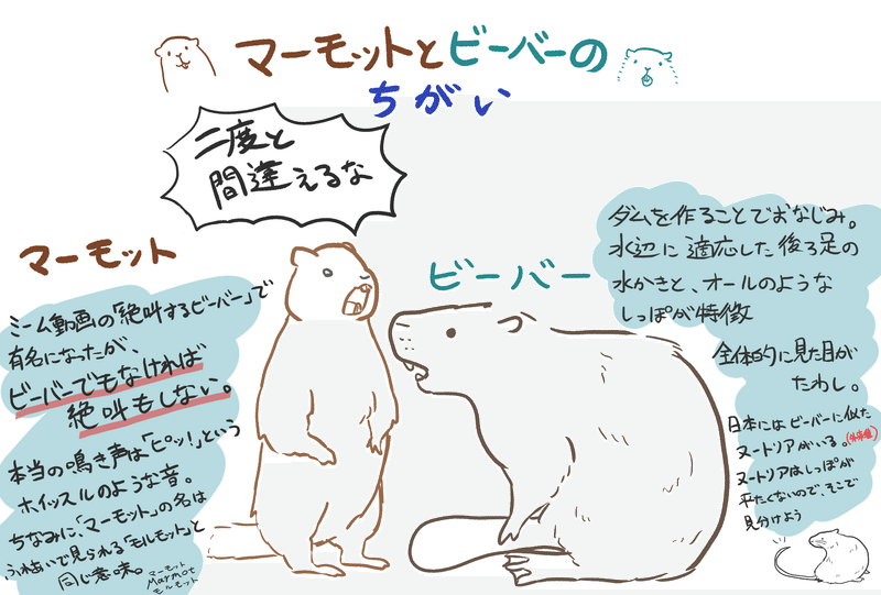 叫ぶビーバーはビーバーじゃない普及委員会 の新着タグ記事一覧 Note つくる つながる とどける
