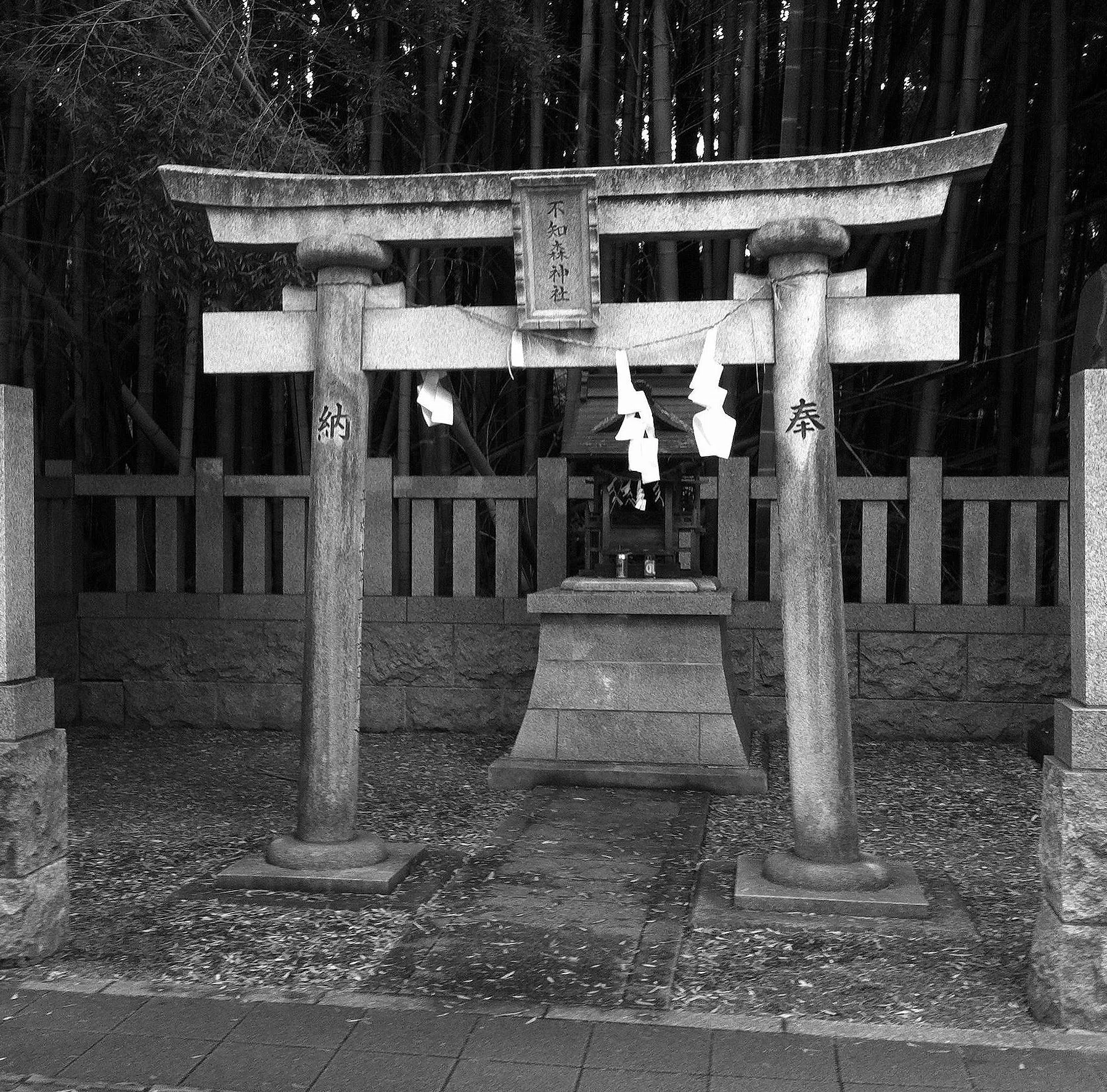 放浪万景 市川八幡の藪知らず 不知八幡森 消雲堂 しょううんどう Note