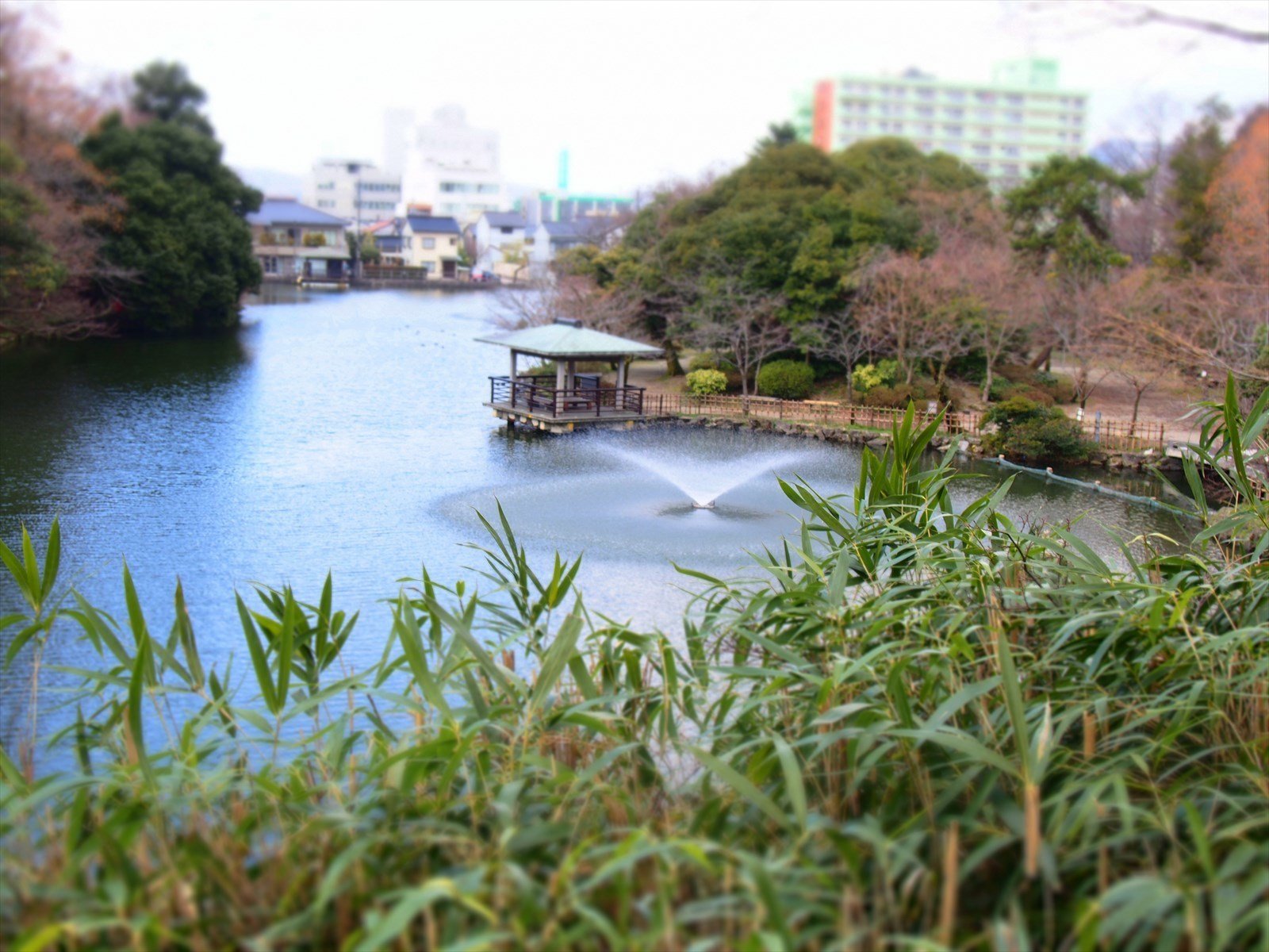 ３月の北陸 １ 高岡古城公園と金沢の街 すぴー Note