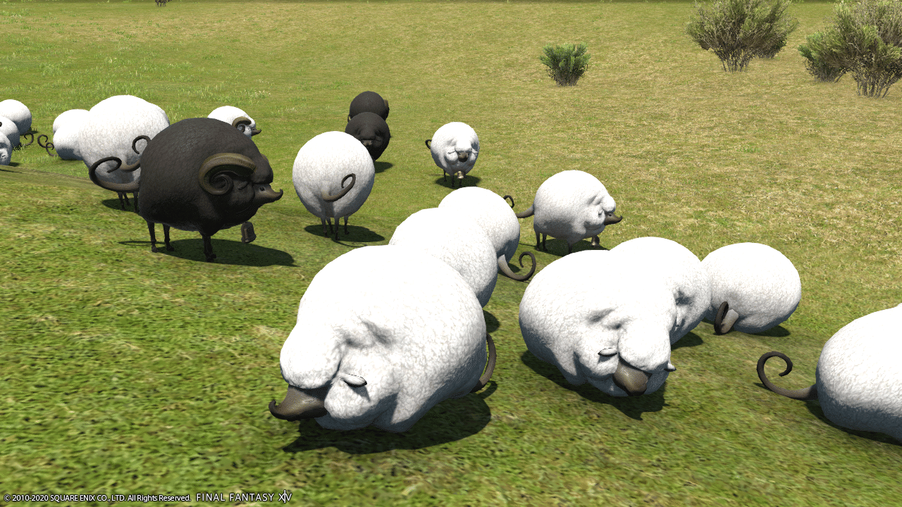 Ff14ss エオルゼアはリアルゼアよりもきっと涼しい Haruto Note Ff14ss エオルゼアはリアルゼアよりもきっと涼しい Haruto Note