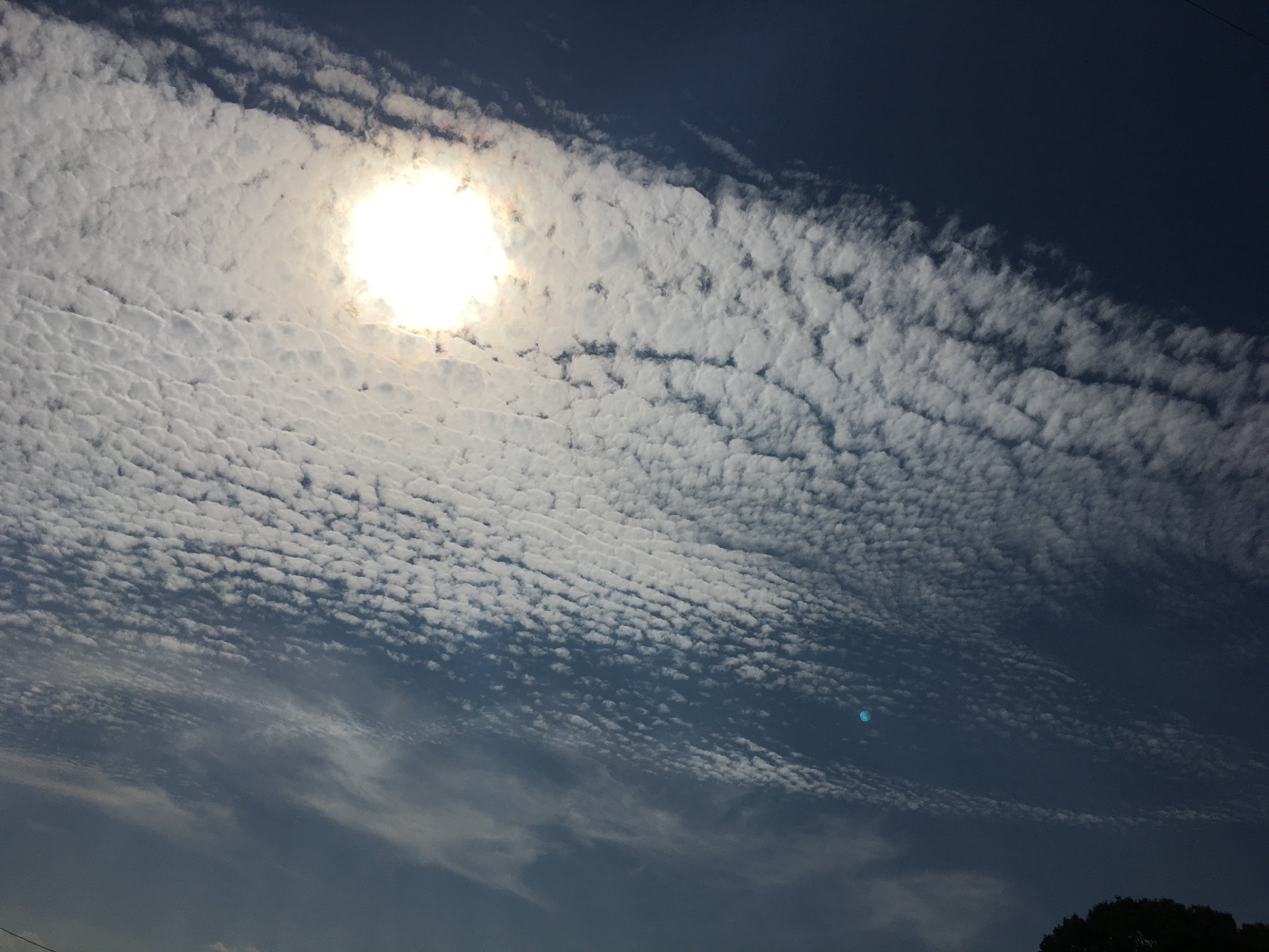 172 鰯雲か鱗雲か羊雲か 千晴 Sorahitoumi Note