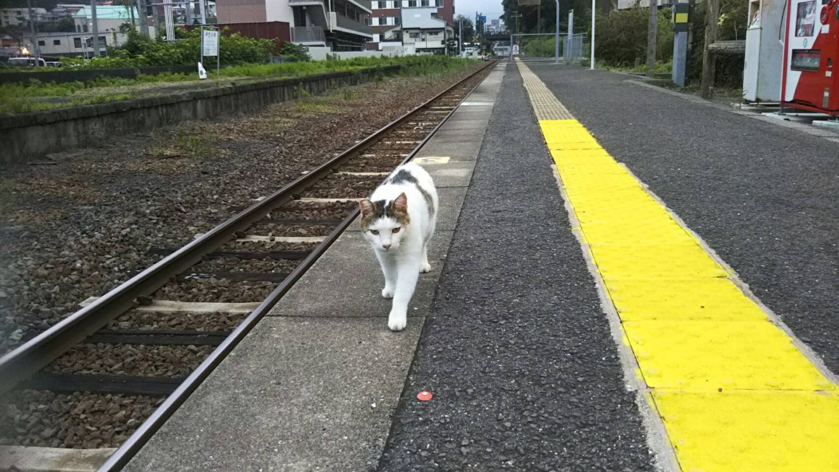 Jr長崎旧線 道ノ尾駅 ねる駅長 江島 達也 対州屋 Note Jr長崎旧線 道ノ尾駅 ねる駅長 江島 達也 対州屋 Note