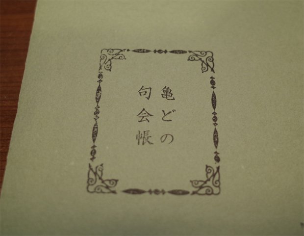 ファッションの - 【値下げしました】アオウミガメの剥製(登録済