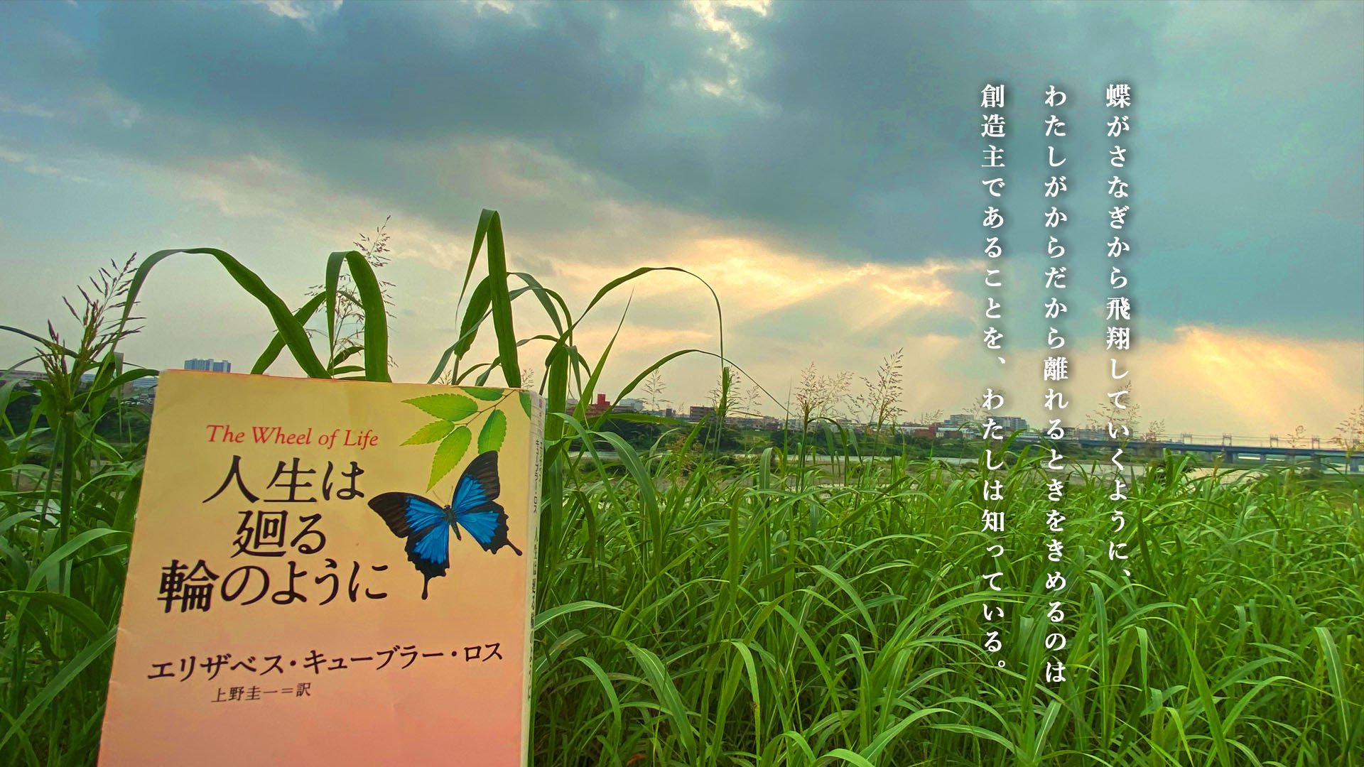 本の散歩 69 世田谷区 二子玉川 Furu 164 Note