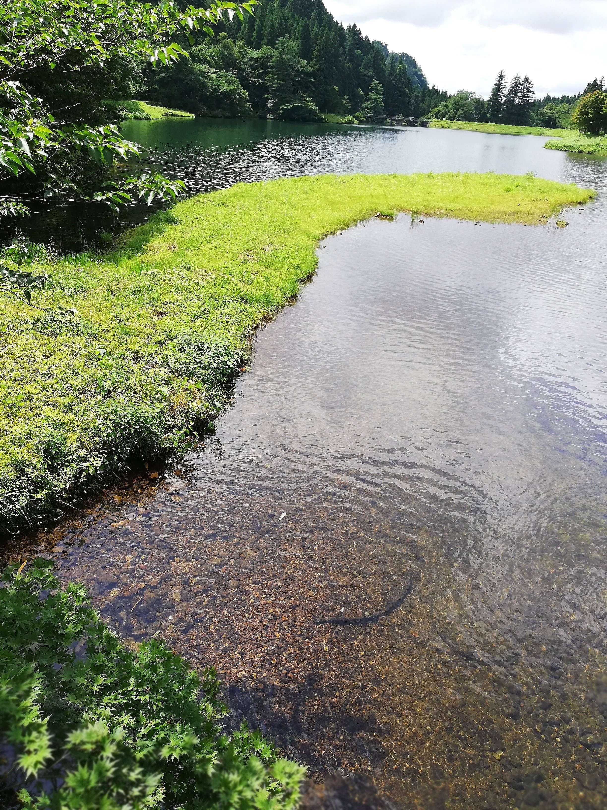 時間に委ねる ひら Note