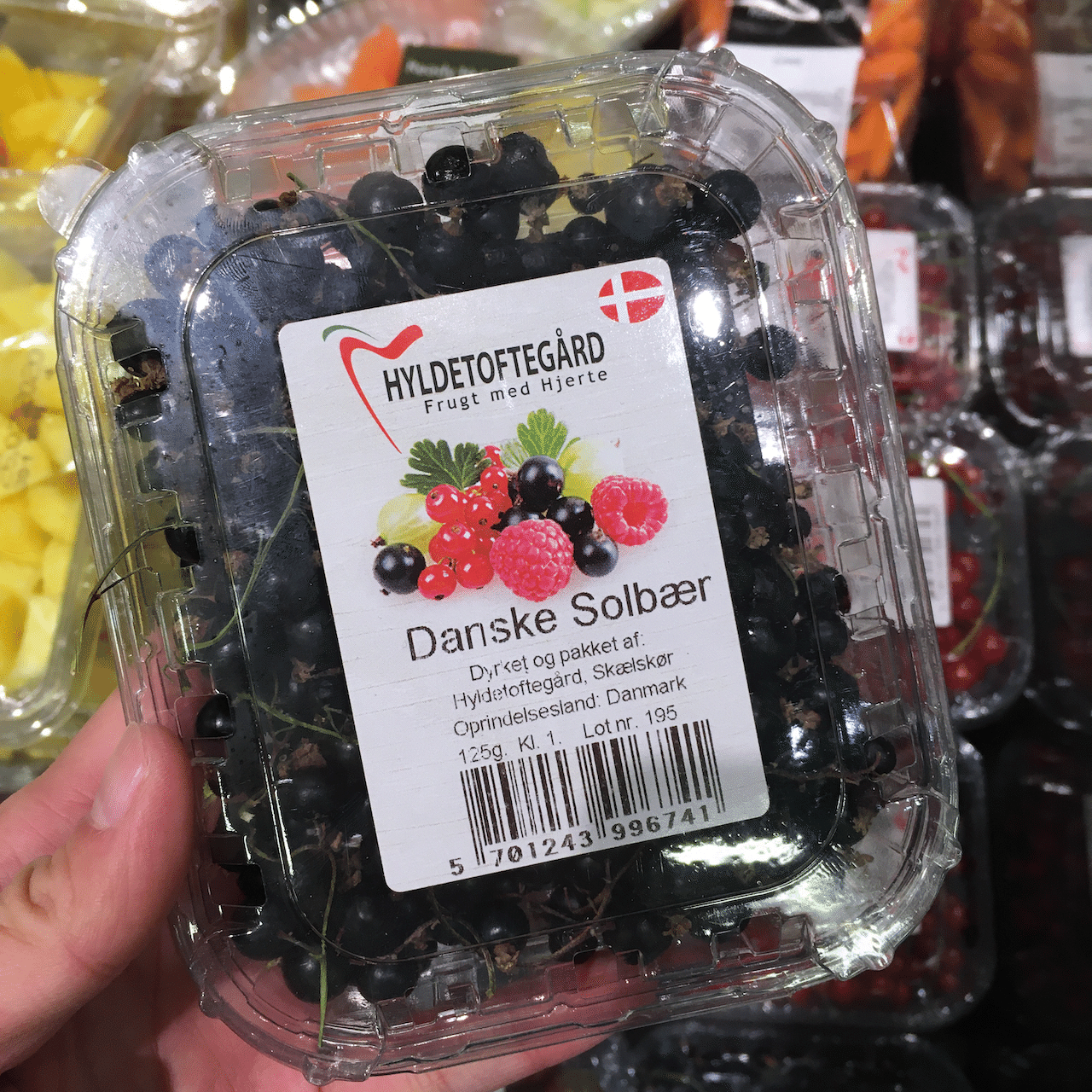 以前「デンマークの街中に育つサクランボとムーミン谷の場所」という記事で紹介しましたが、北欧の夏はベリー系の果物が豊富!スーパーに行くと、日本で見かけないベリーでワクワク♪ 上のSolbærはブルーベリーに似ている「クロスグリ」。あまり馴染みがない名前かもしれませんが、別名は「カシス」。お酒が好きな方は知っている方が多いのでは? (「デンマークの街中に育つサクランボとムーミン谷の場所」は→ https://note.com/hiroshi_higuchi/n/n54ad05ea3fc0 ) 画像1