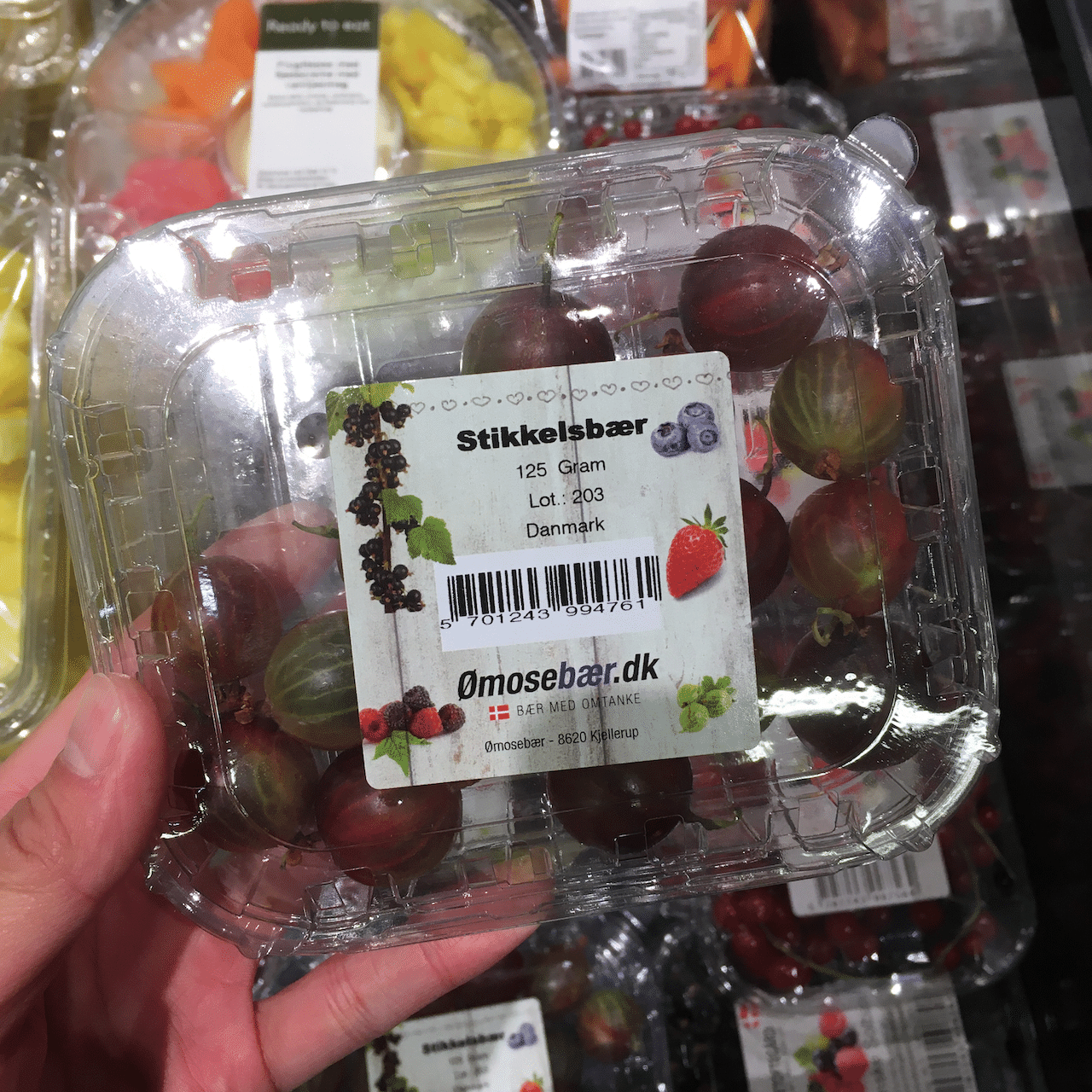 そしてこちらは「セイヨウスグリ」。同じスグリですが、粒が大きくてブドウのようなプチトマトのような形です。スグリ系のベリーは酸味や苦味があるものが多いのですが、このセイヨウスグリは食べたことがないので今度見かけたら買って味見しようと思います。 画像3