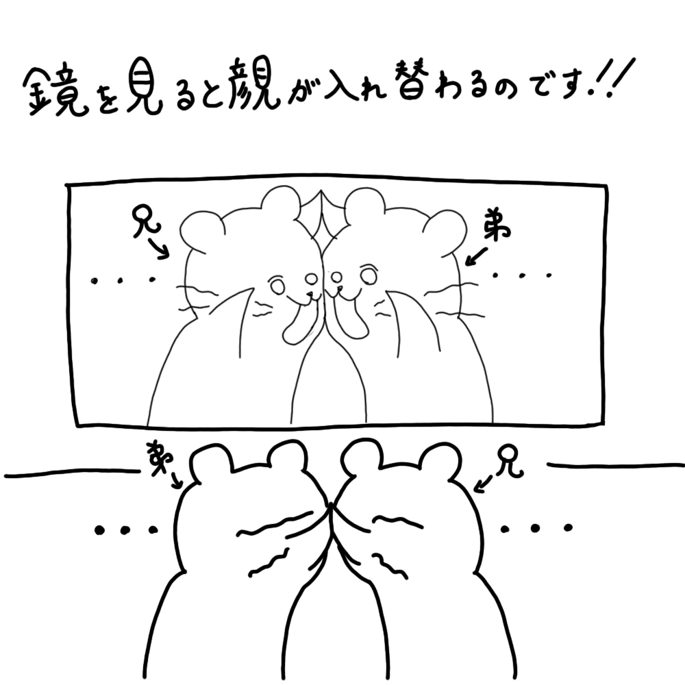 双子の日常その8 双子の不思議 双子の日常 Note 双子の日常その8 双子の不思議 双子の日常 Note