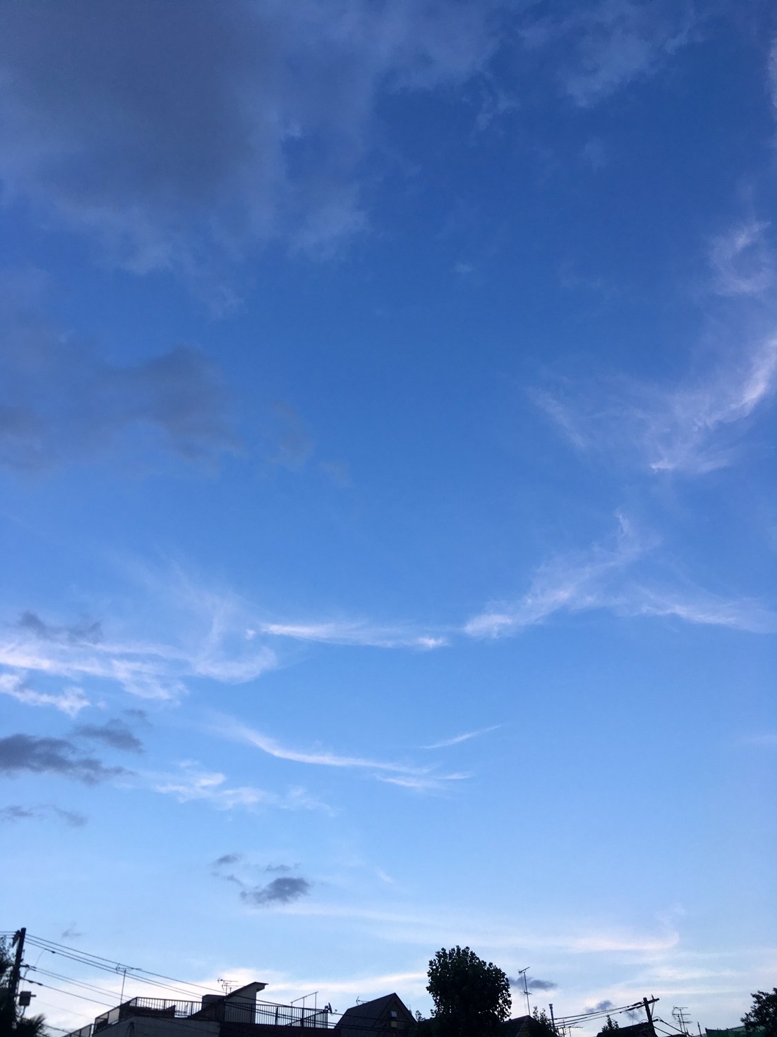 一日が穏やかに暮れる幸せ 花と日々 Yas Note
