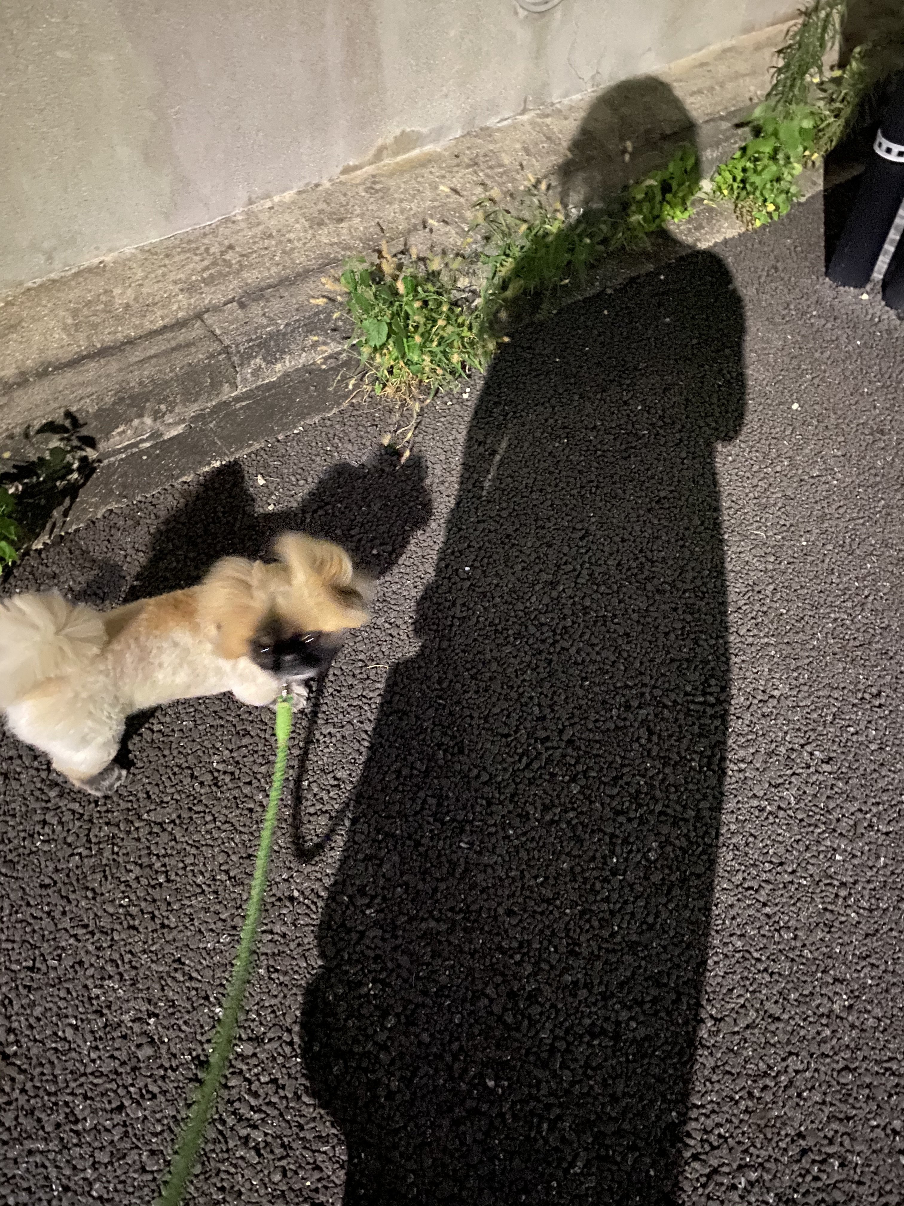 かげふみ ふぅ Note かげふみ ふぅ Note