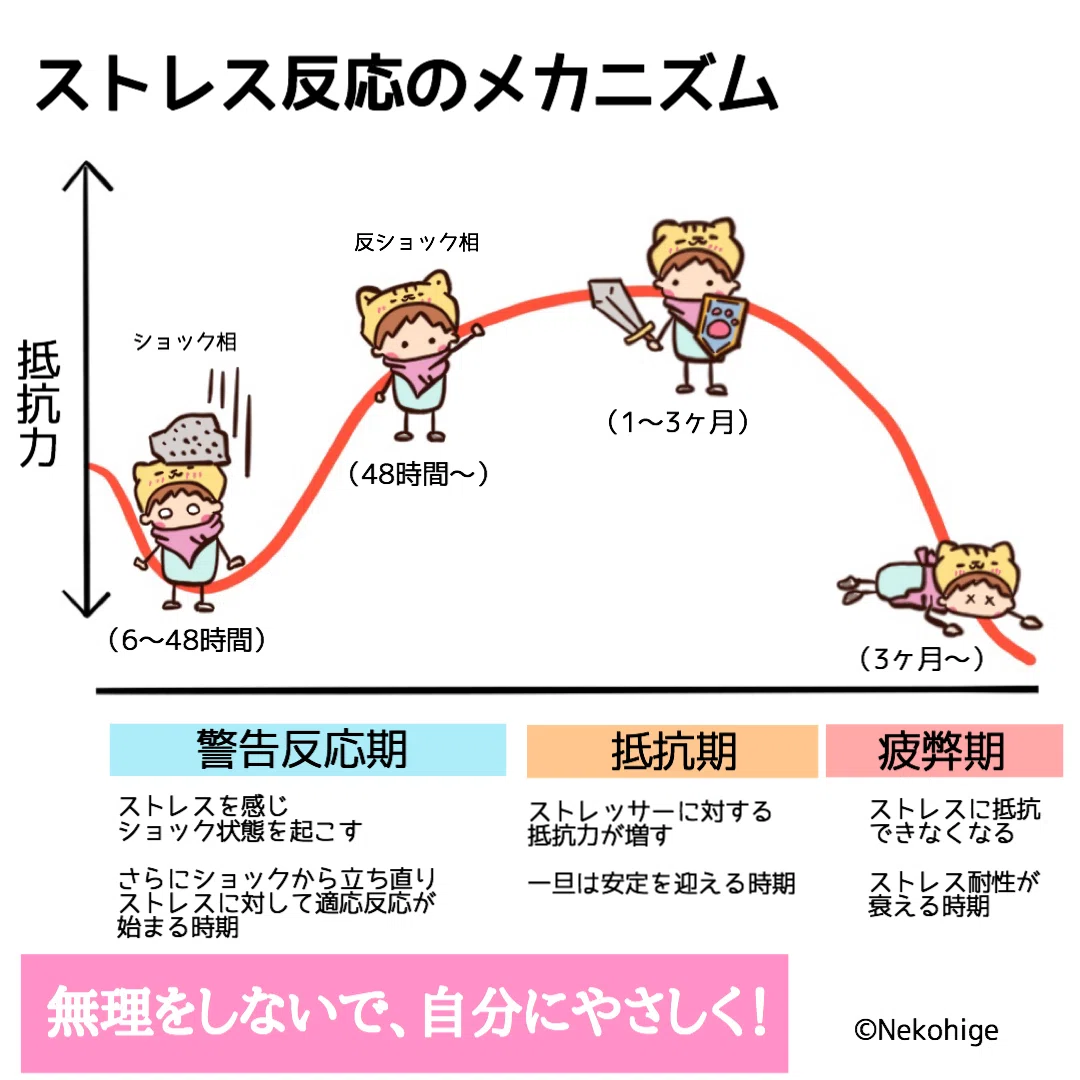 ストレス反応のメカニズム|ねこひげ先生