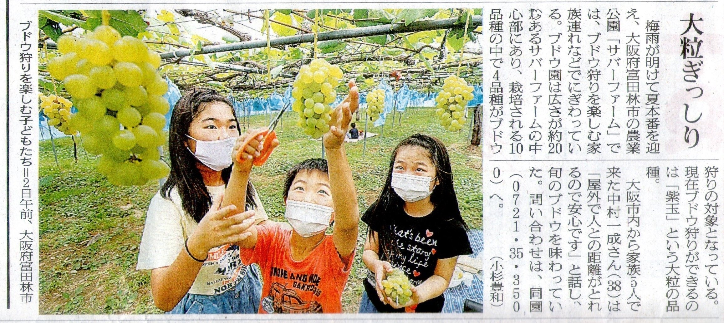 ブドウ狩りに家族連れ 大阪のうめ吉 Note