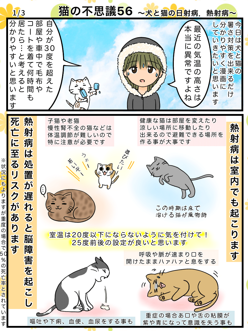 猫の不思議56 犬と猫の日射病 熱射病 熱中症 めこたん 漫画 イラスト Note