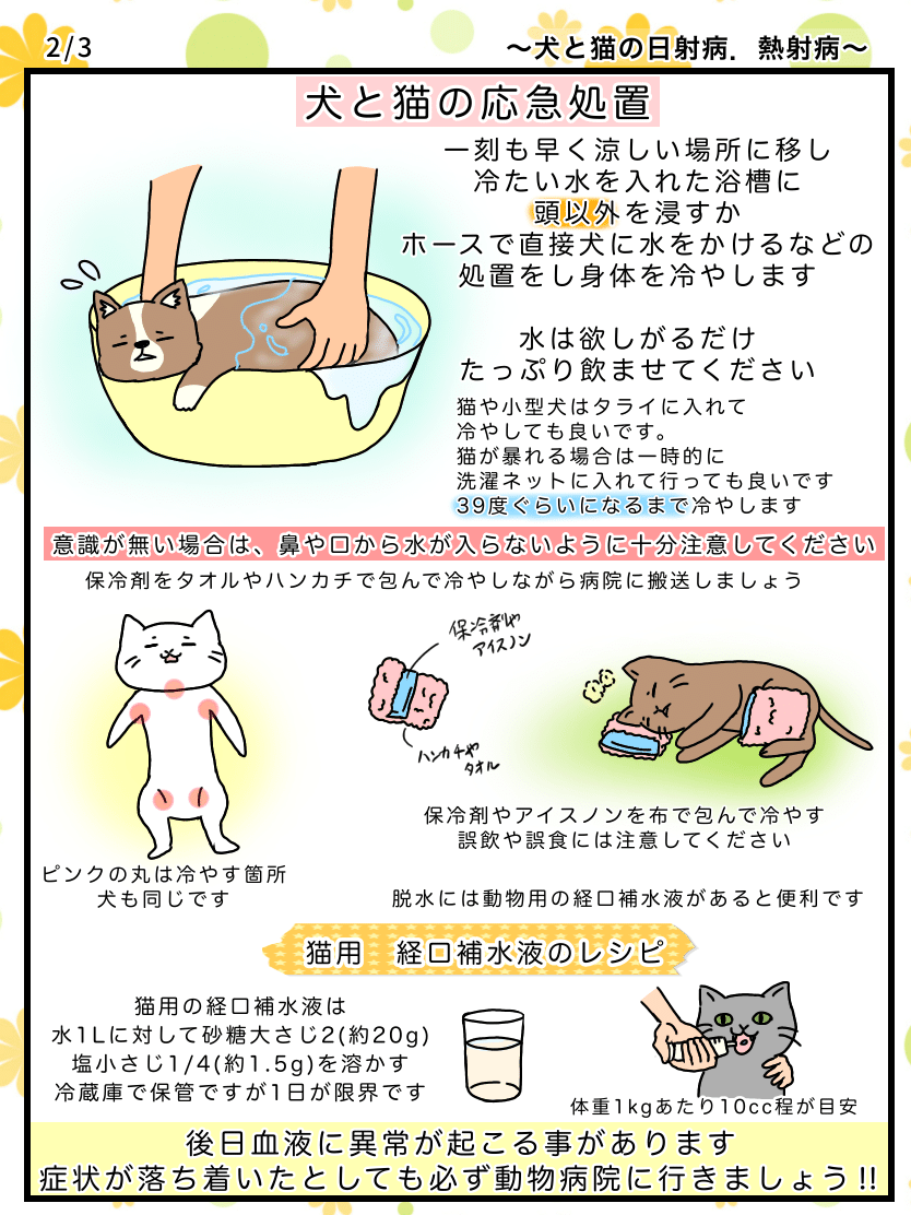 猫の不思議56 犬と猫の日射病 熱射病 熱中症 めこたん 漫画 イラスト Note