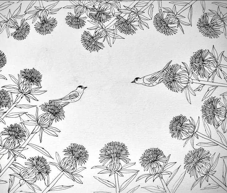 大好きなお花と鳥のペン画シリーズです。これは絵本の一コマになってます。「届かないね」「届かないな」