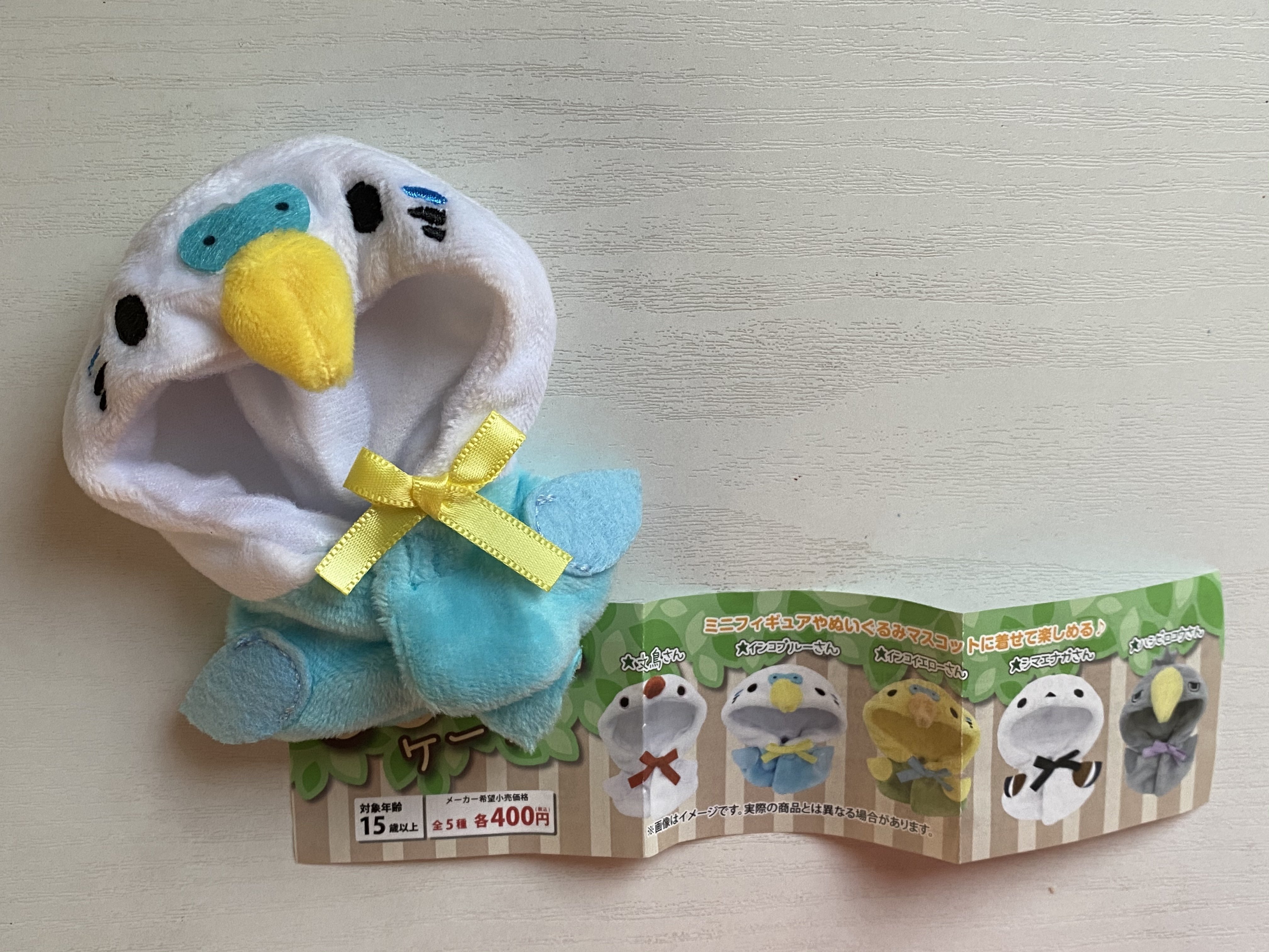 セキセイインコの着ぐるみとセキセイインコ りあこ Note