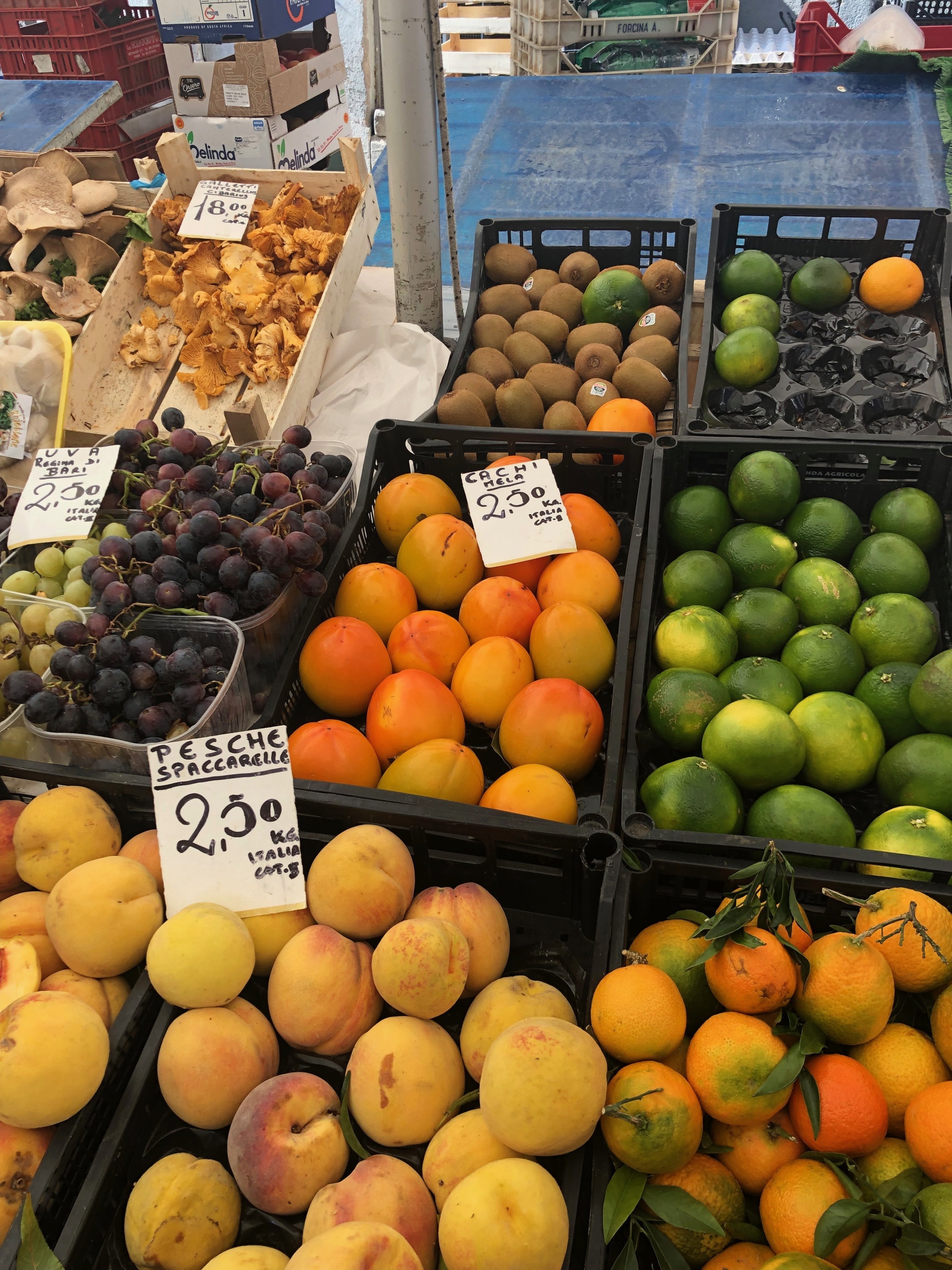 旅の眼差しとその記憶 Il Viaggio Sgardi E Memoria 2 新潟イタリア協会 Note