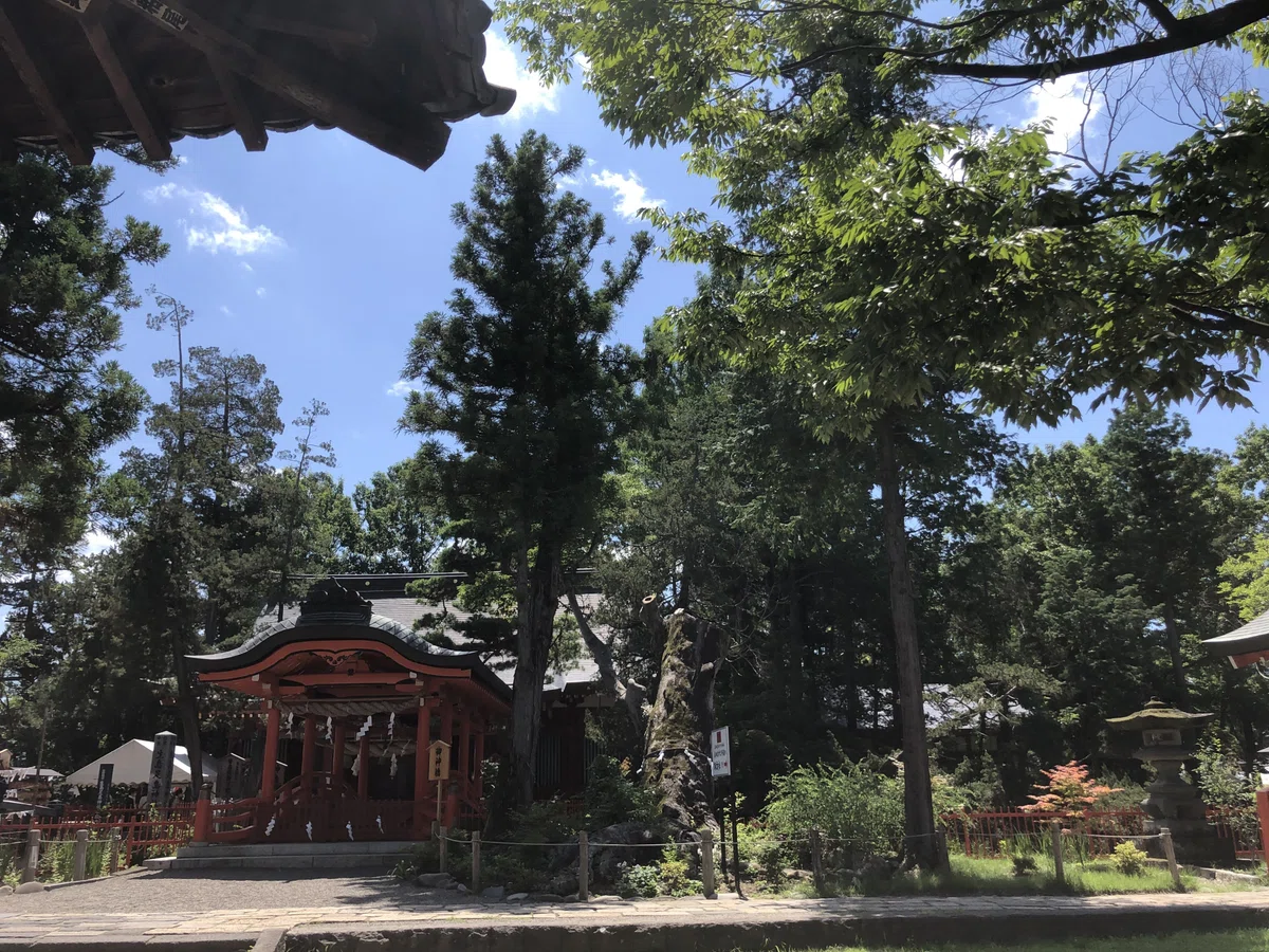 画像