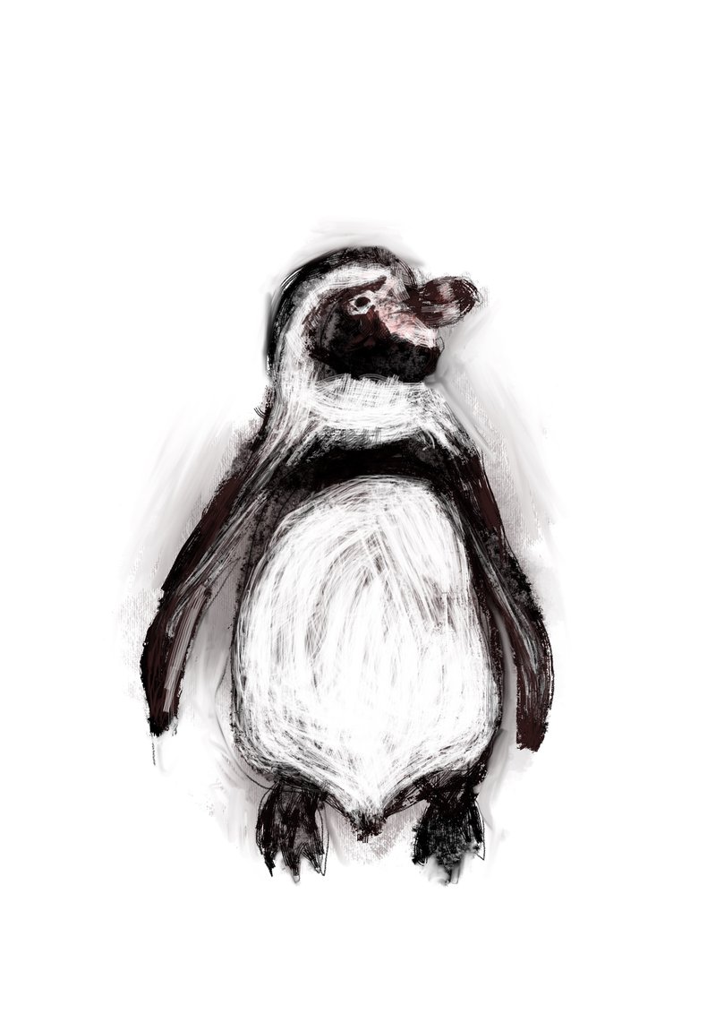 フンボルトペンギン の新着タグ記事一覧 Note つくる つながる とどける