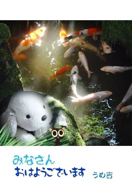 鯉 の新着タグ記事一覧 Note つくる つながる とどける