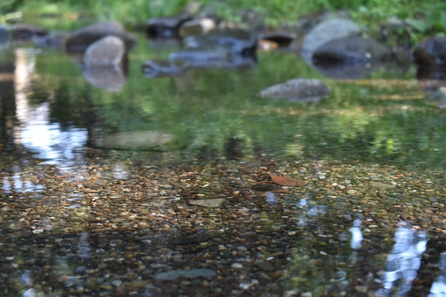 朝涼み