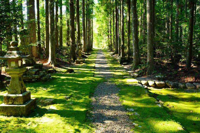 熊野の神社は自然の美しさと一体だ。綺麗な苔の参道に杉並木の作る陰影が映える。夏の暑さが気持ちよく感じるのは、アスファルトの床暖房、エアコン室外機や排気ガスの温風で熱せられた都会との一番nの違いだ。風の通り道が塞がれていないのも大きい
