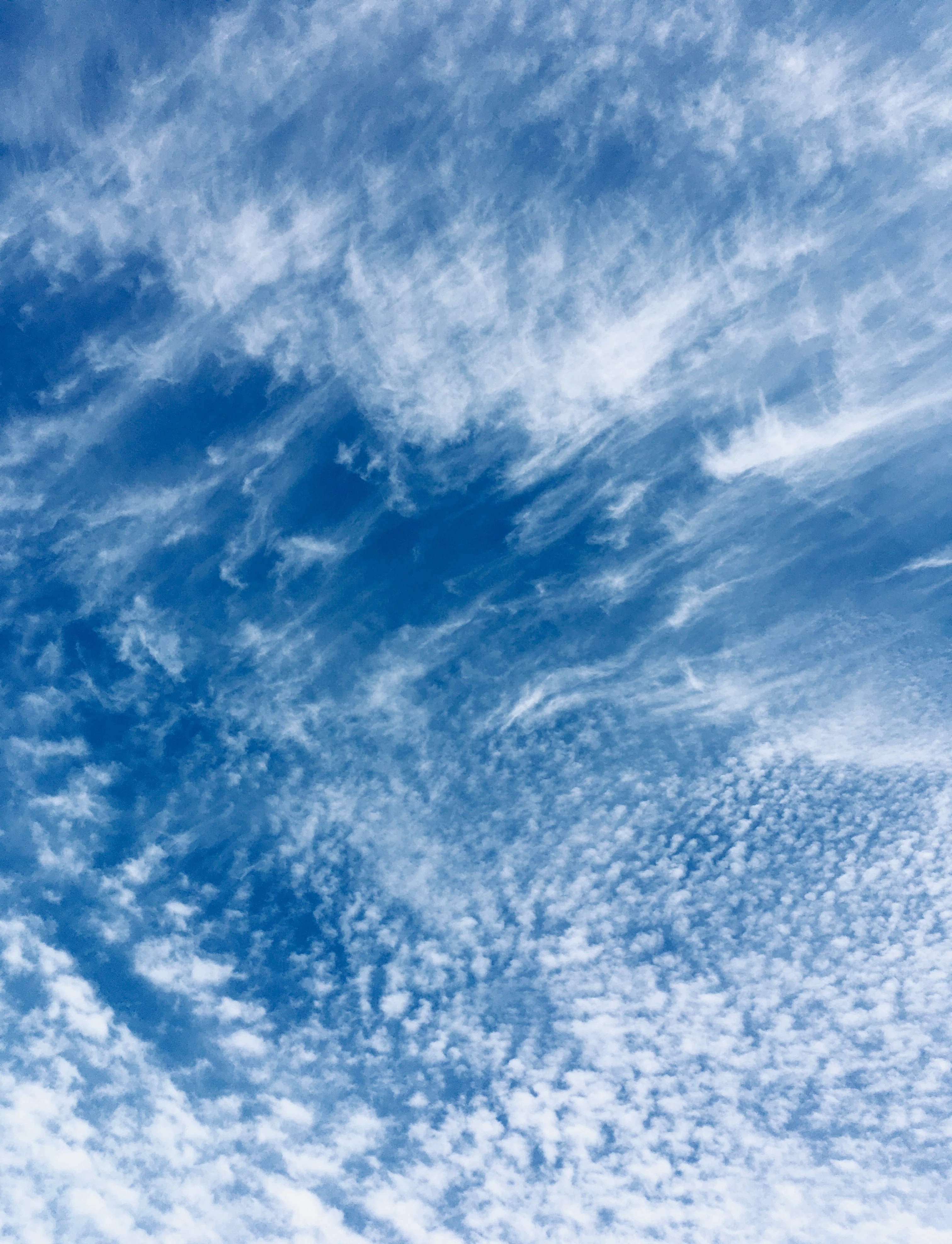 いわし雲 空即是色 In ロンドン Note いわし雲 空即是色 In ロンドン Note