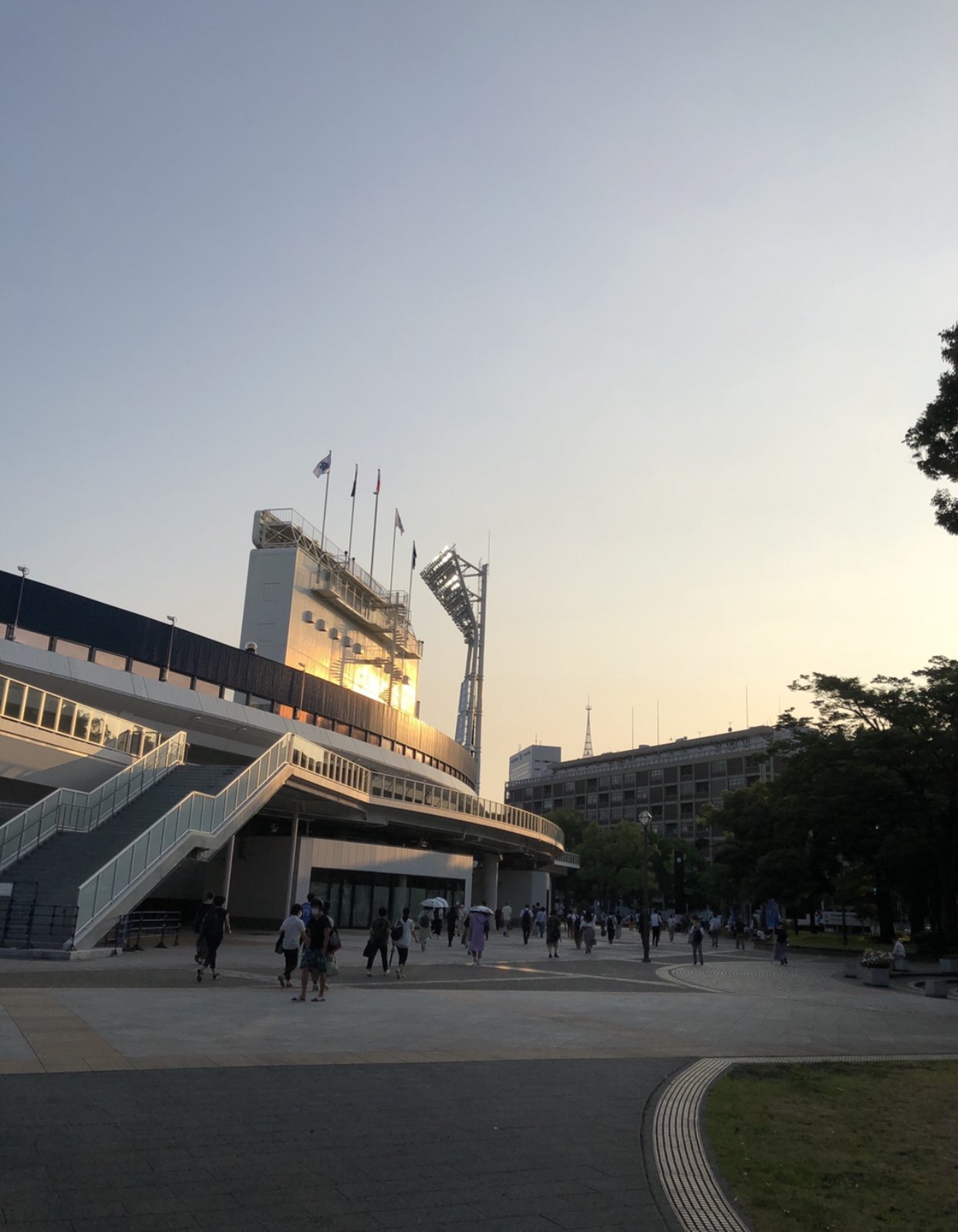 コロナの中のプロ野球 対広島 きんさん Note コロナの中のプロ野球 対広島 きんさん Note