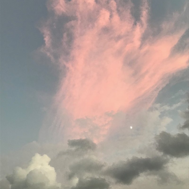 今日の夕方の雲。マリー・ローランサンの絵に同じような配色を見たことがある。優しく温かいピンクだけれど、炎のように上昇するエネルギーを感じる雲。『今』だから見たのかな。きっとそう。今日、見つけたことに意味がありそうだ。