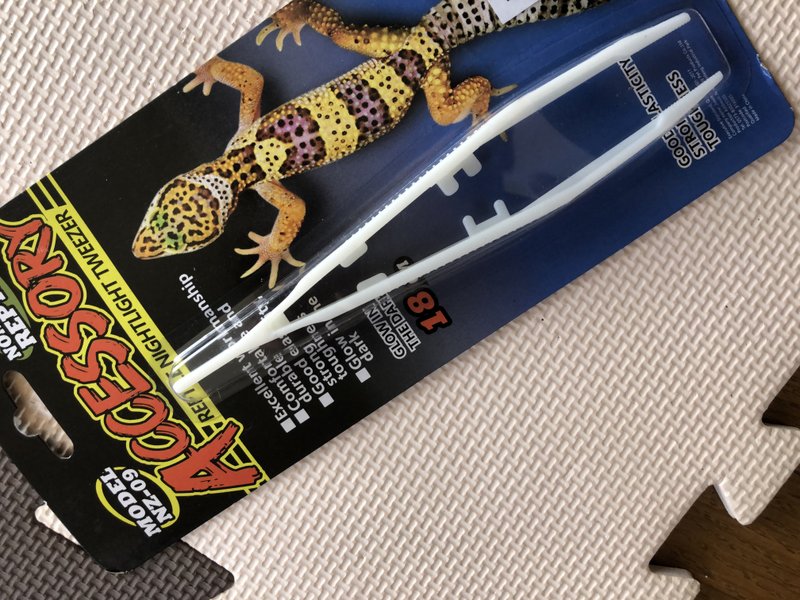 カナヘビ の新着タグ記事一覧 Note つくる つながる とどける