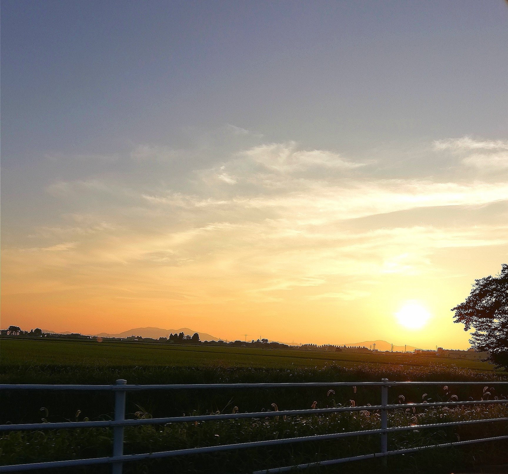 夏の夕陽 ひら Note