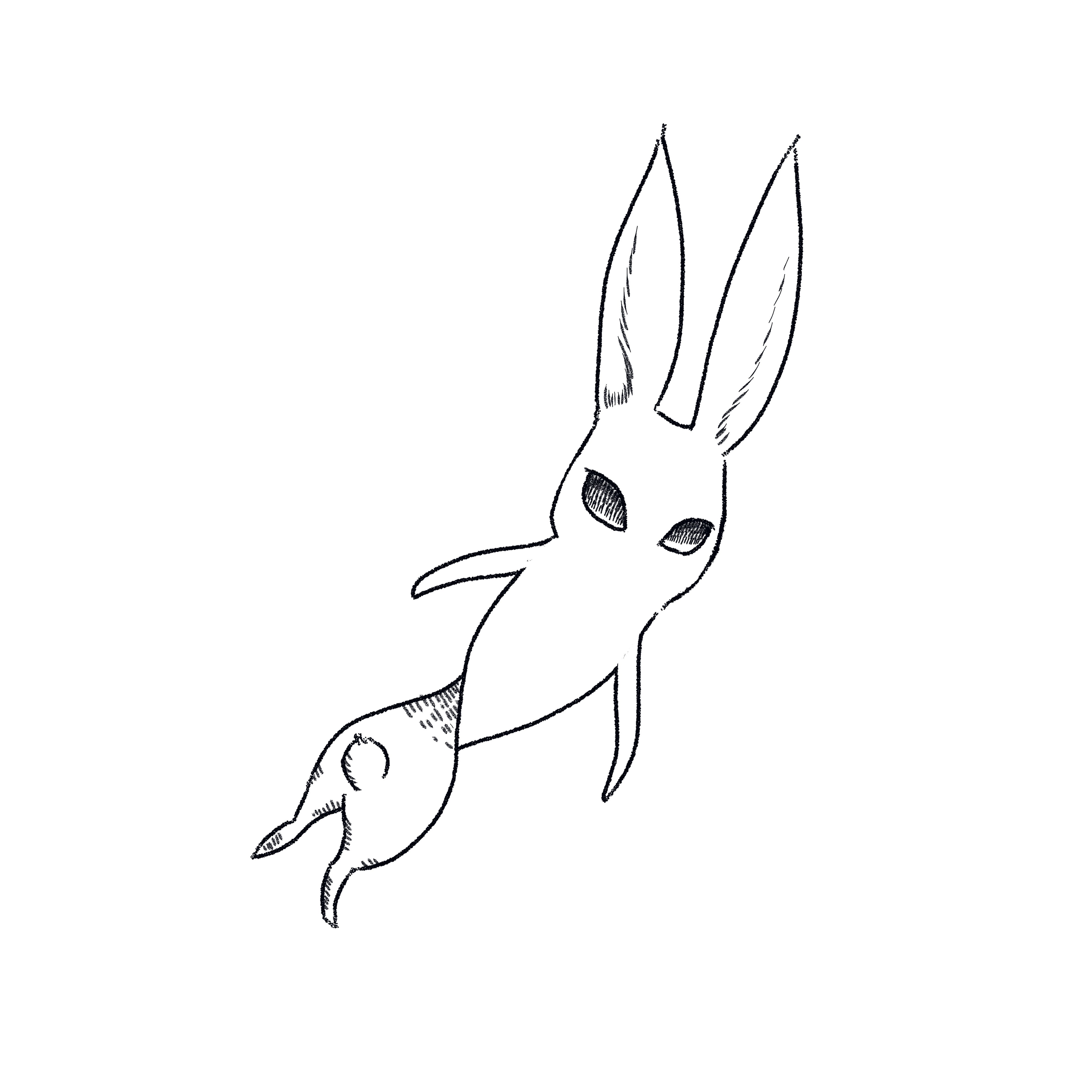 ねじれるウサギ 骸骨にしあ Note
