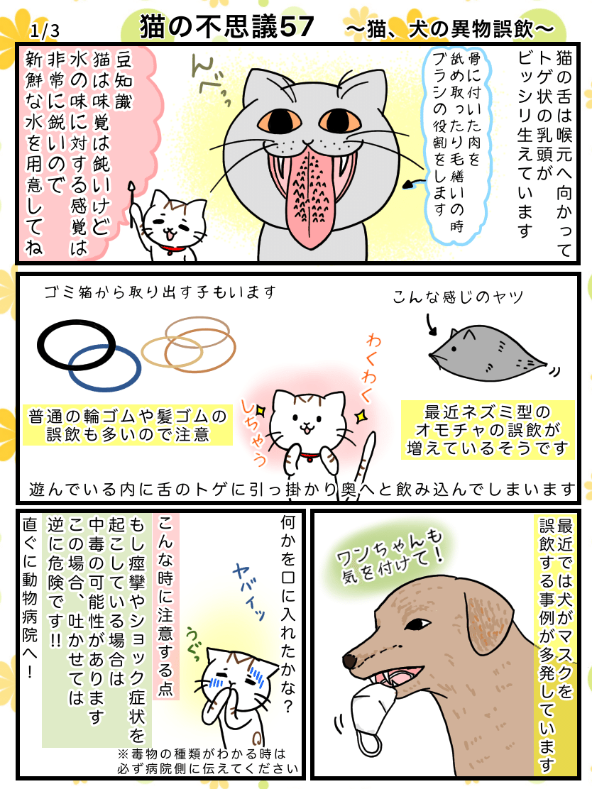 猫の不思議57 猫 犬の異物誤飲 めこたん 漫画 イラスト Note