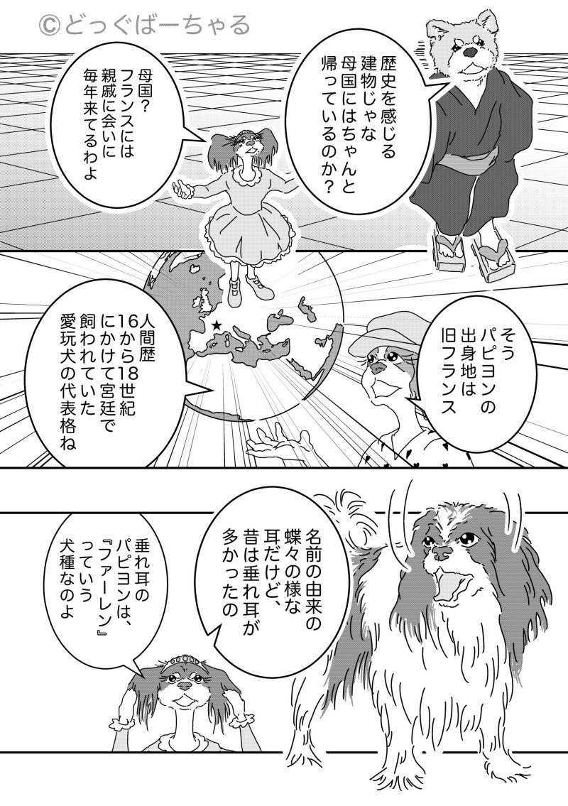 犬の惑星 パピヨン編 タカ Note 犬の惑星 パピヨン編 タカ Note
