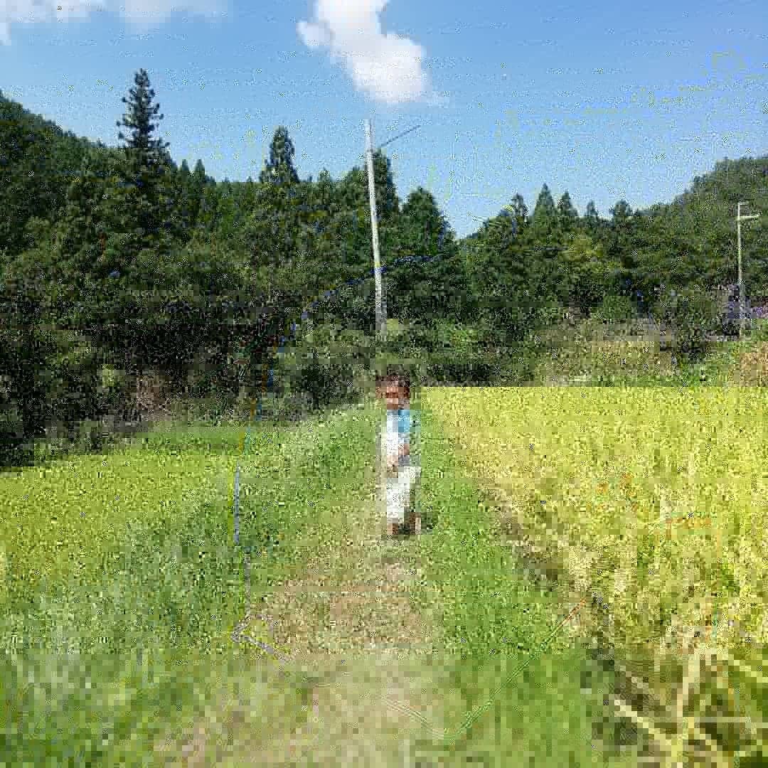 自然があそびば 大阪にもこんな田舎風景が 能勢町でのびのび子育て なにわ表現師 鉄の女okadaの哲学 大阪 Note