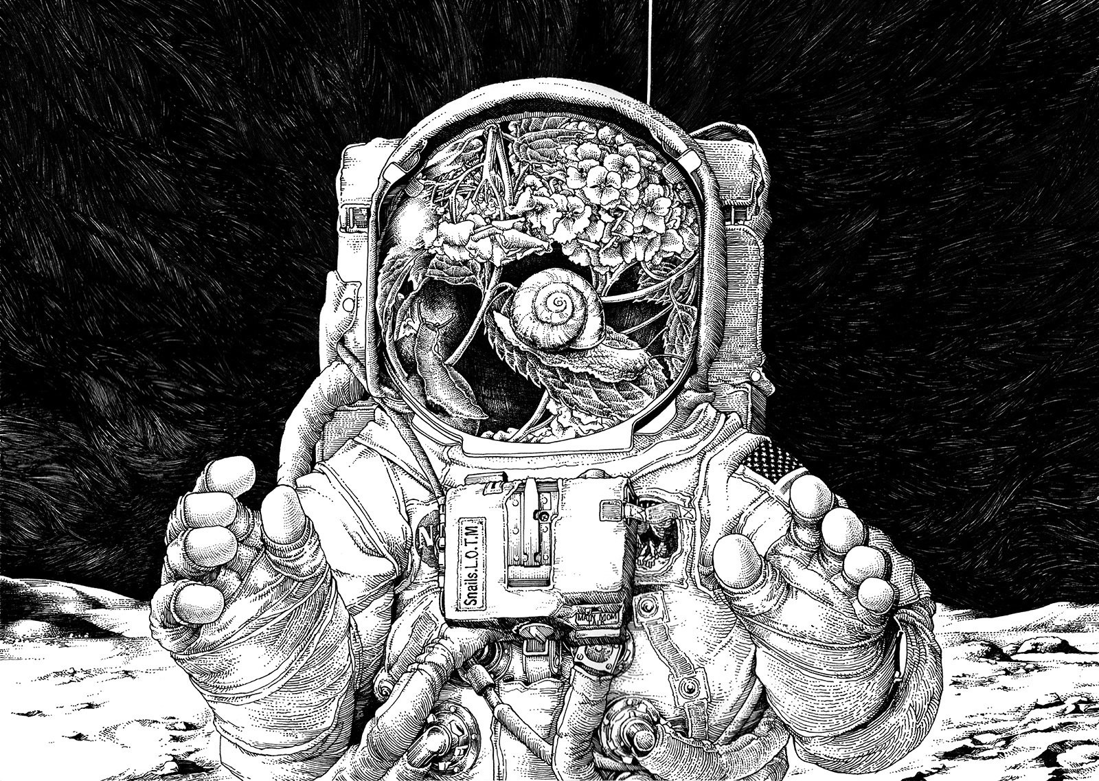ペン画 Snails Living On The Moon 松田望 Note ペン画 Snails Living On The Moon 松田望 Note
