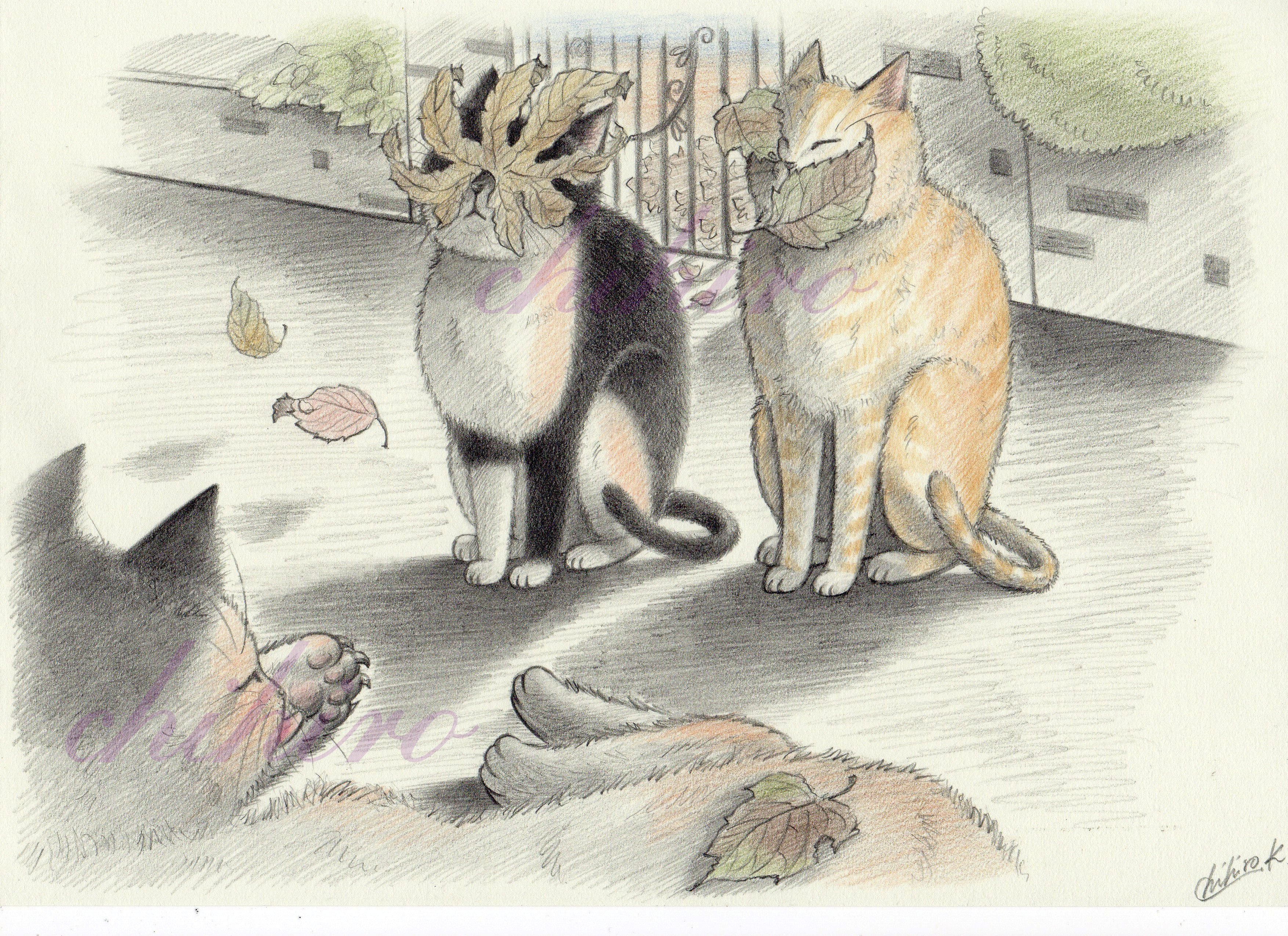 No 19 二匹の顔に落ち葉がぶつかる Plan C 川上千尋 Chihiro Kawakami 色鉛筆で猫の絵本を作っています ほかの作品はこちら Instagram Chihiroangelo Chihiroalter Note No 19 二匹の顔に落ち葉がぶつかる Plan C 川上千尋 Chihiro Kawakami 色鉛筆で猫の絵本を作っています ほかの作品はこちら Instagram Chihiroangelo Chihiroalter Note