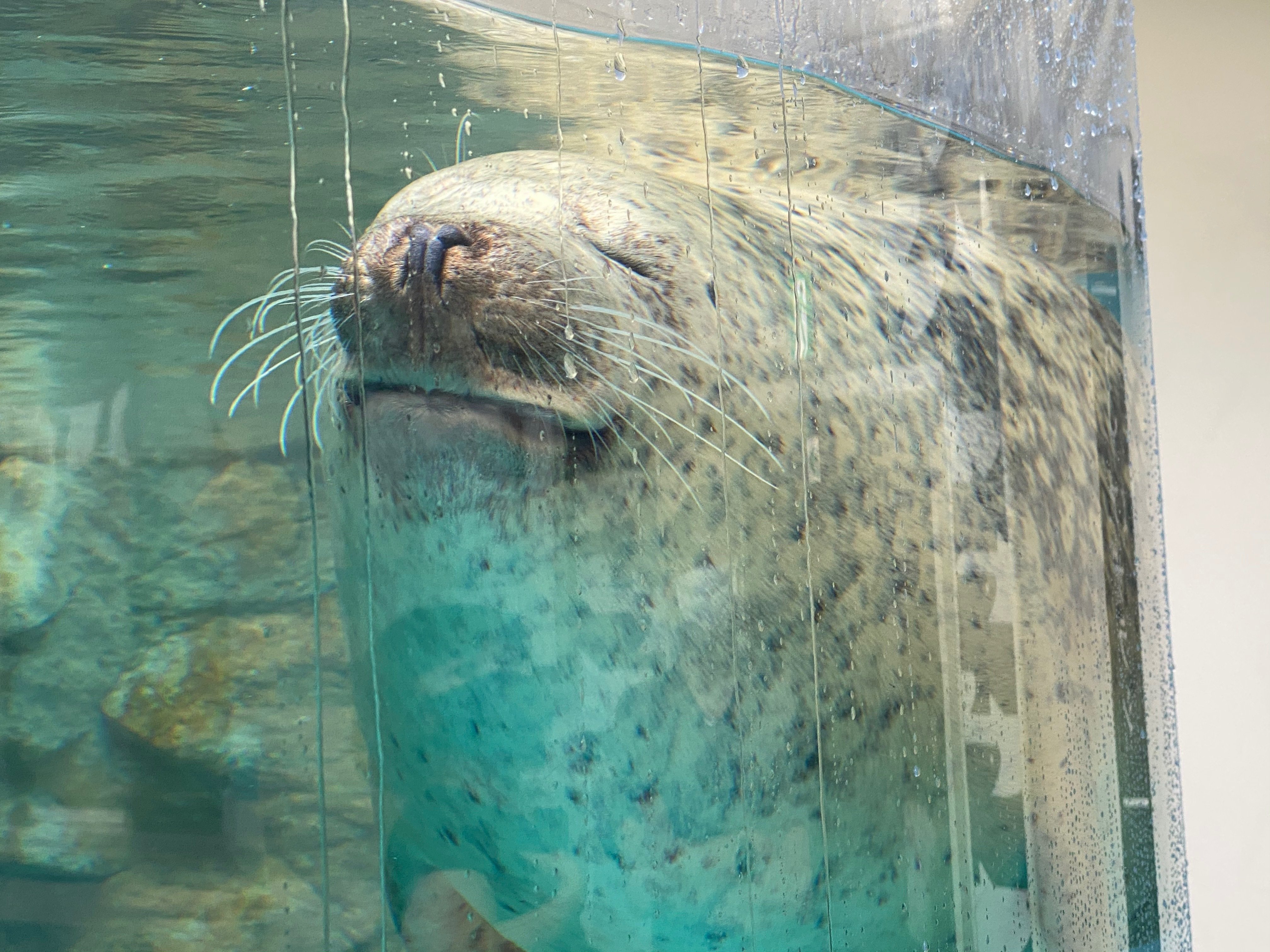 京都水族館 内海まりお Note