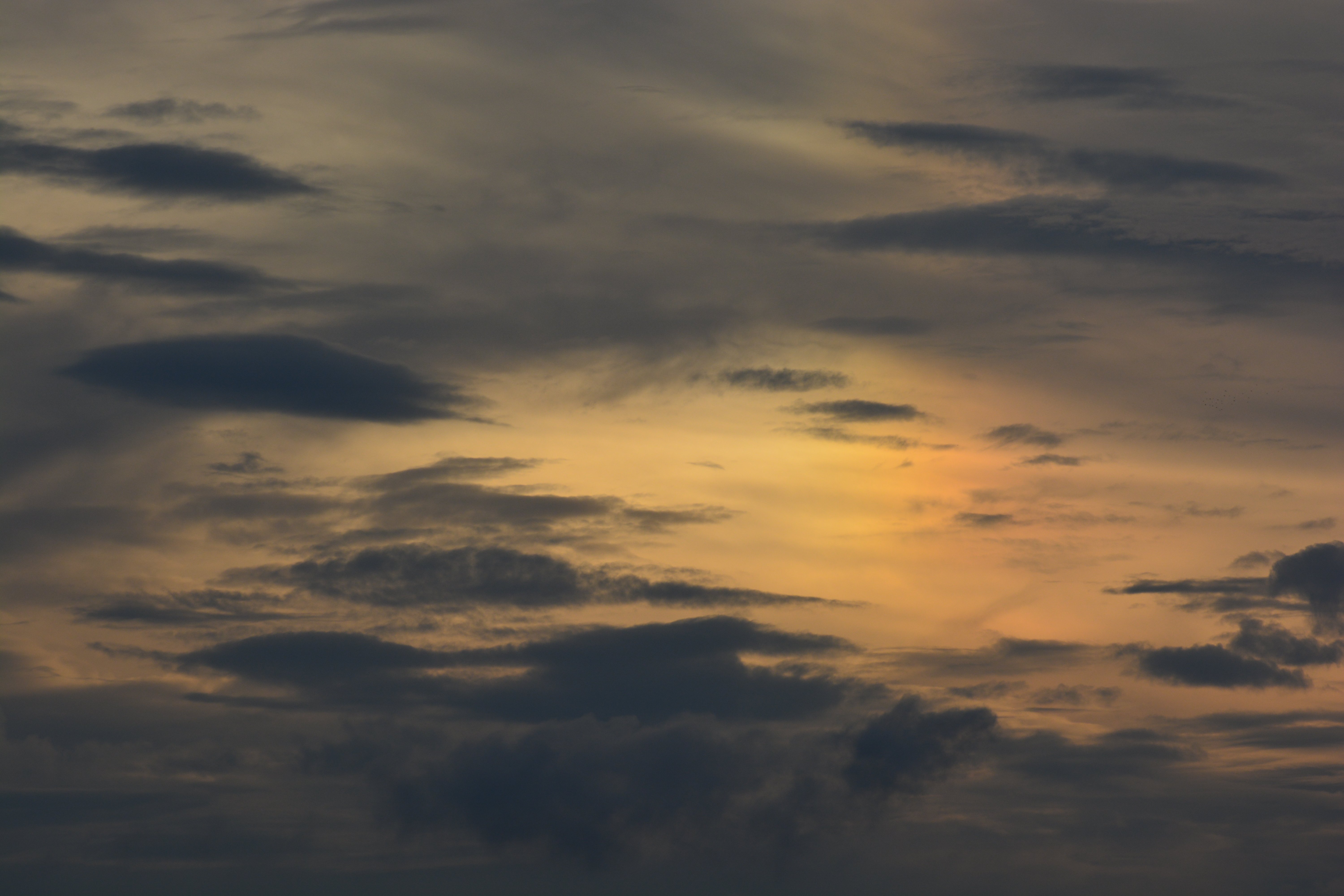 暗い空に彩雲 めぐすり Note 暗い空に彩雲 めぐすり Note