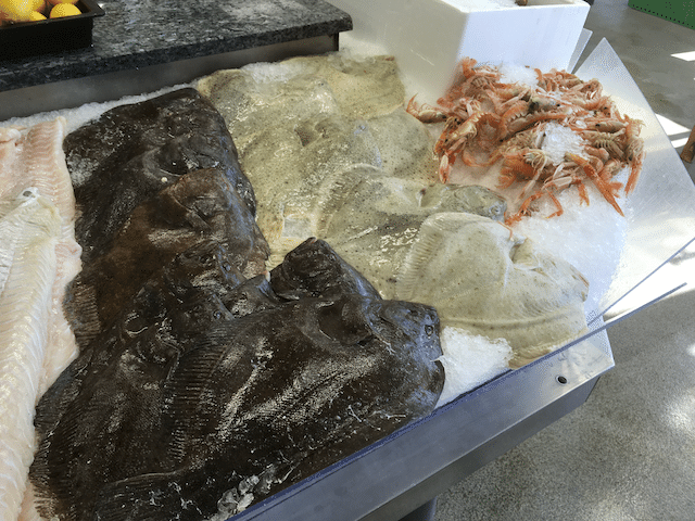 カレイを発見!!(おちょぼ口だからおそらくカレイ?) 煮付けにしたら美味しいかもしれないけど、醤油をたくさん使うので今回はパス〜 画像6