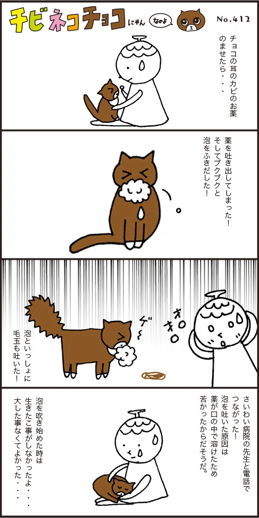 チョコが突然ぶくぶくと泡をふいた😳生きた心地がしなかった朝