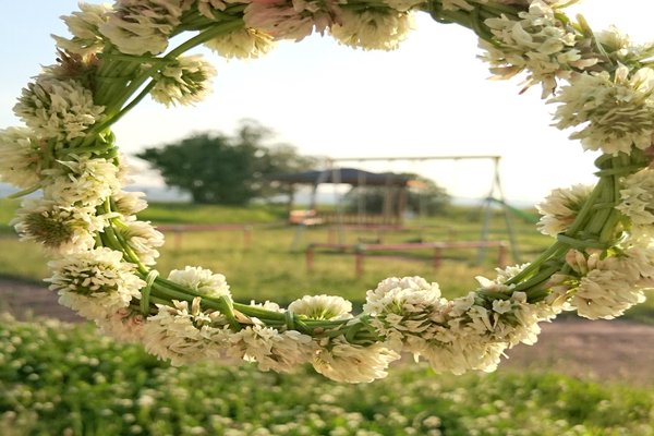 花かんむり の新着タグ記事一覧 Note つくる つながる とどける