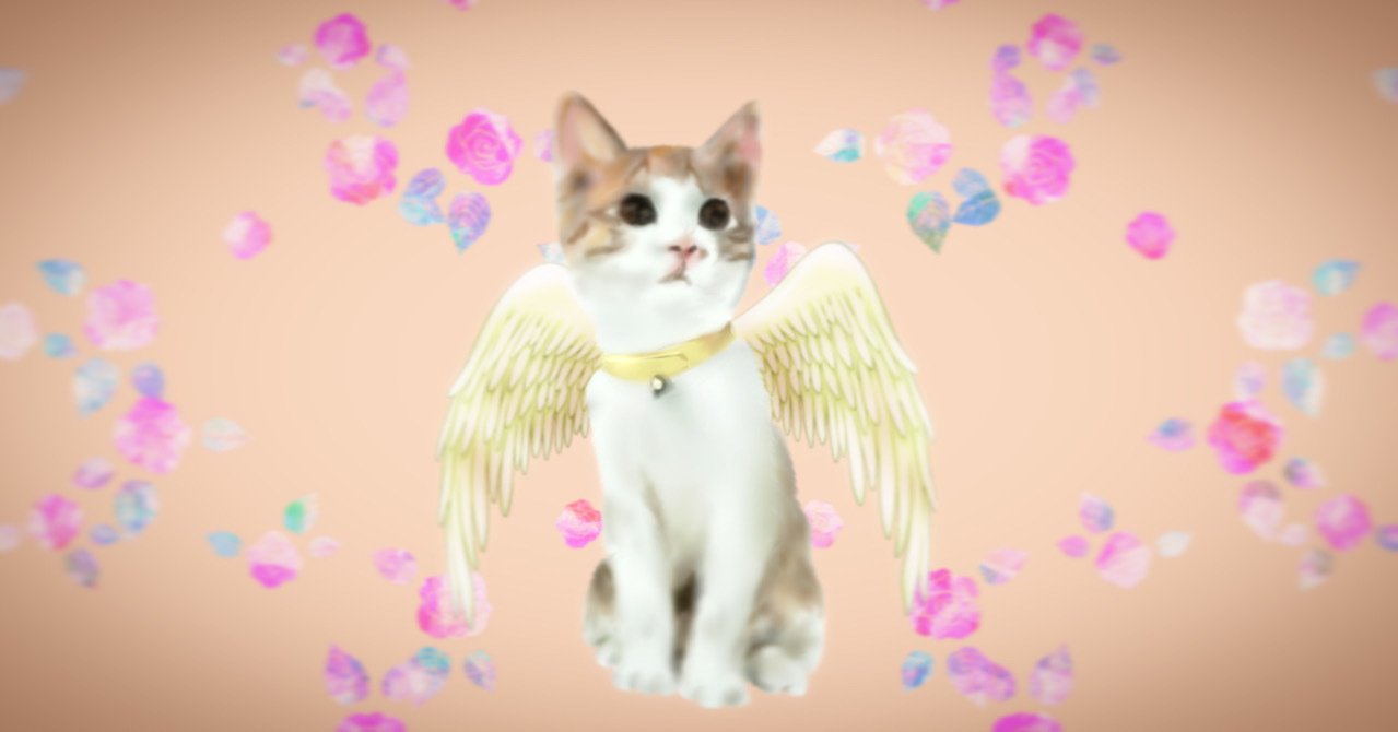 天使な仔猫｜ෆもふෆ