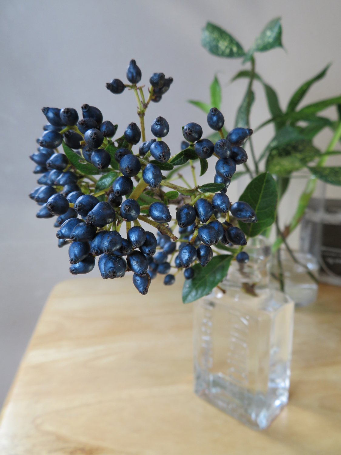 人間花器　全裸 先々週のお花を最後まで飾っています。｜花と日々 yas